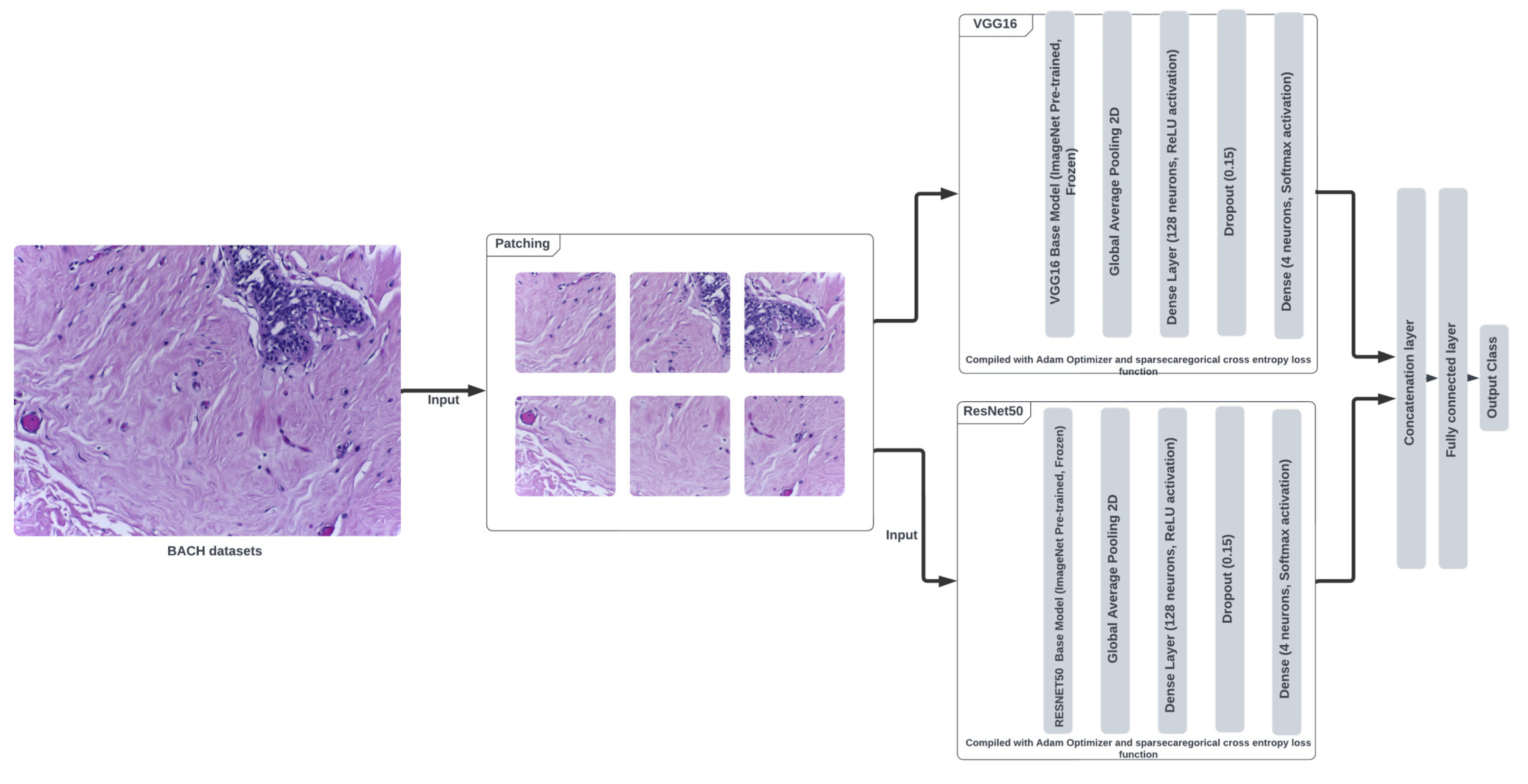 Cancers 16 02222 g003