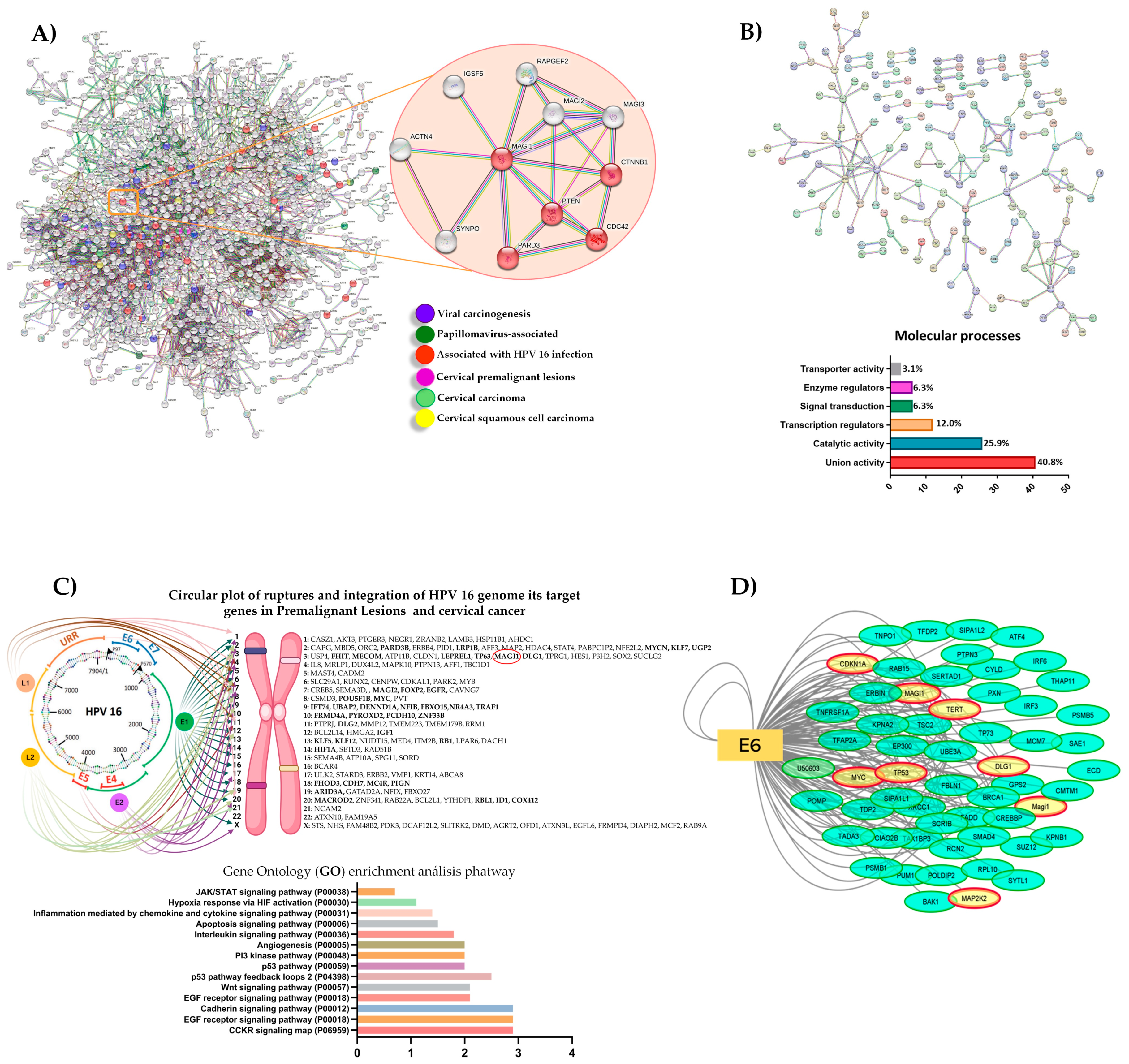 Cancers 16 02225 g001