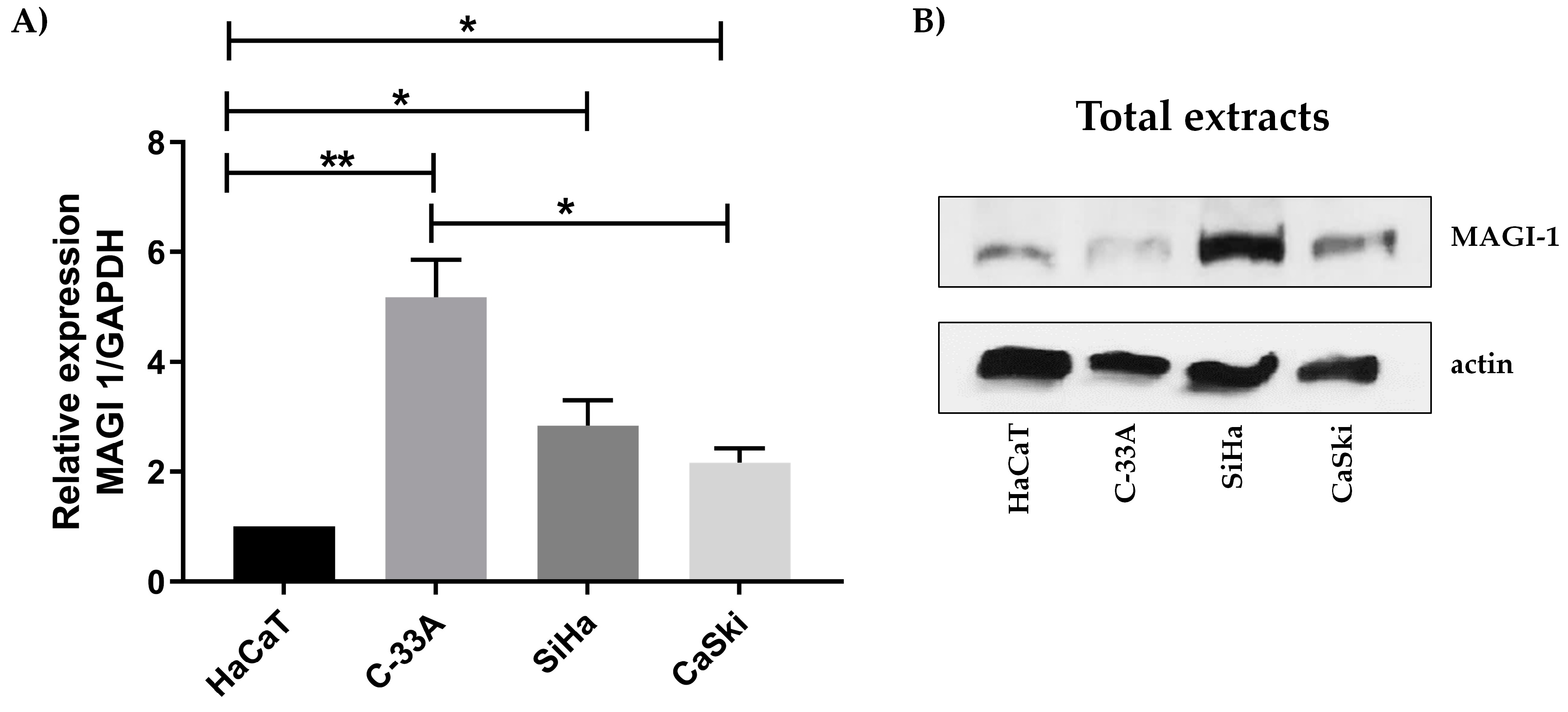 Cancers 16 02225 g002