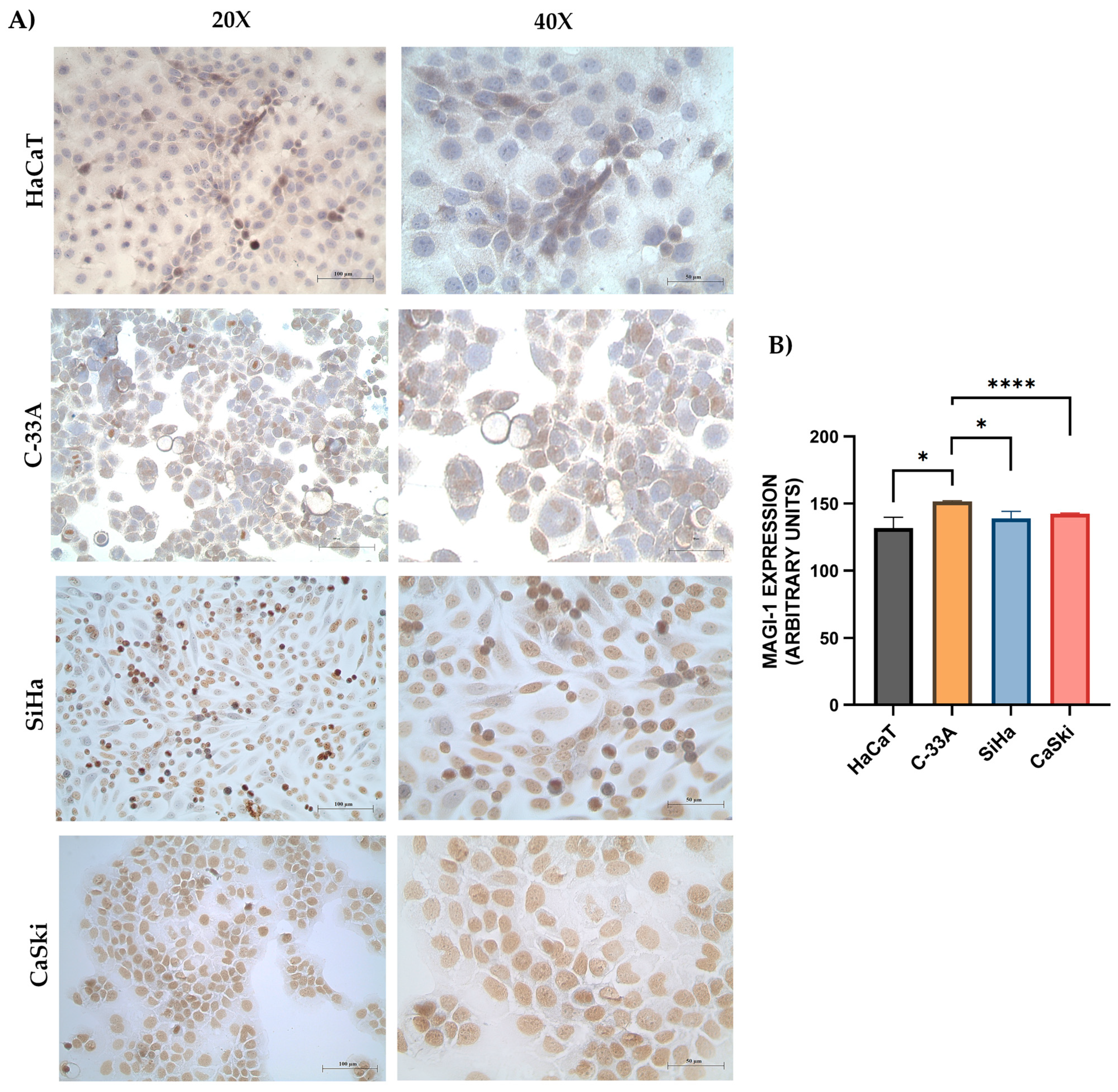 Cancers 16 02225 g003