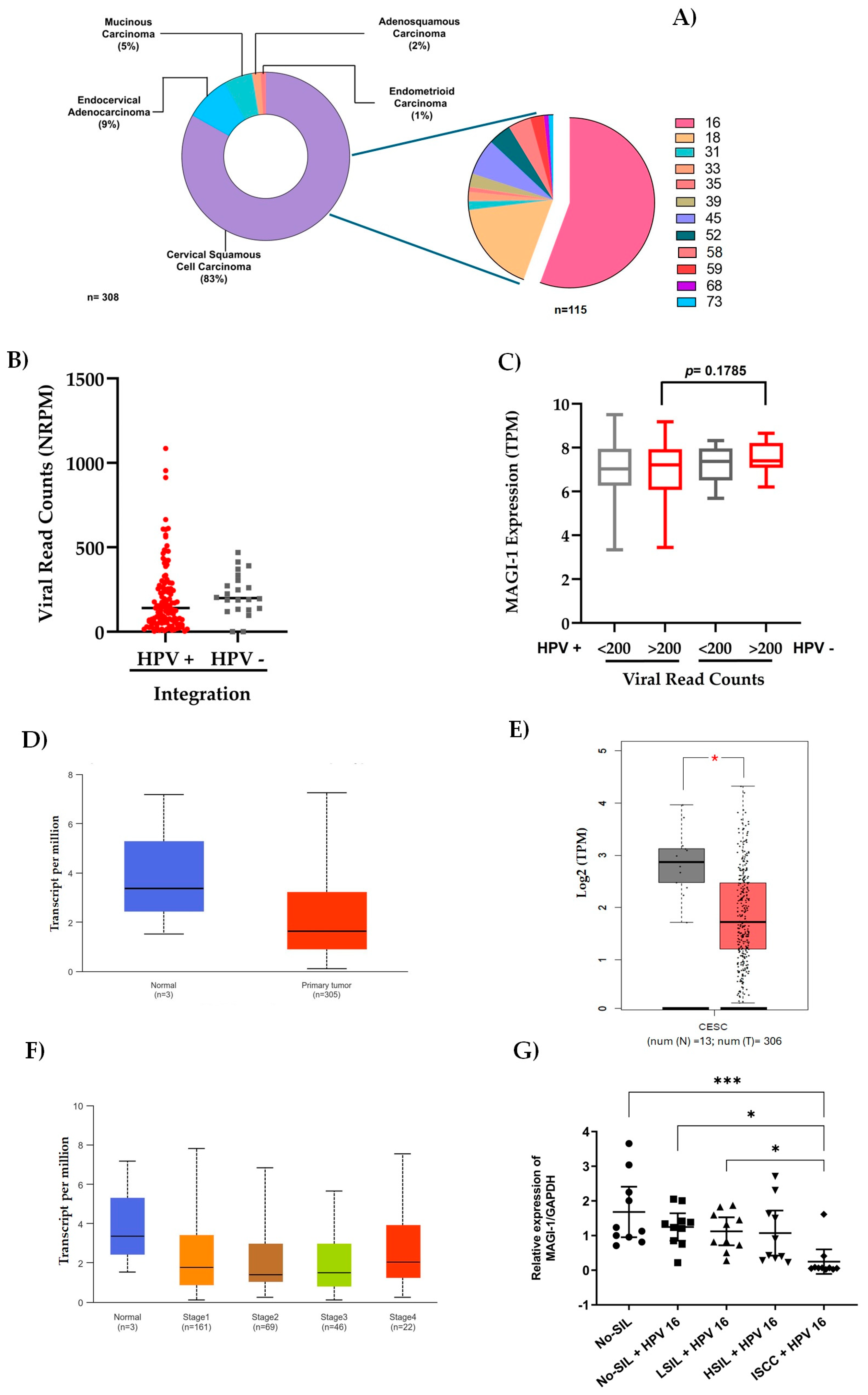 Cancers 16 02225 g005