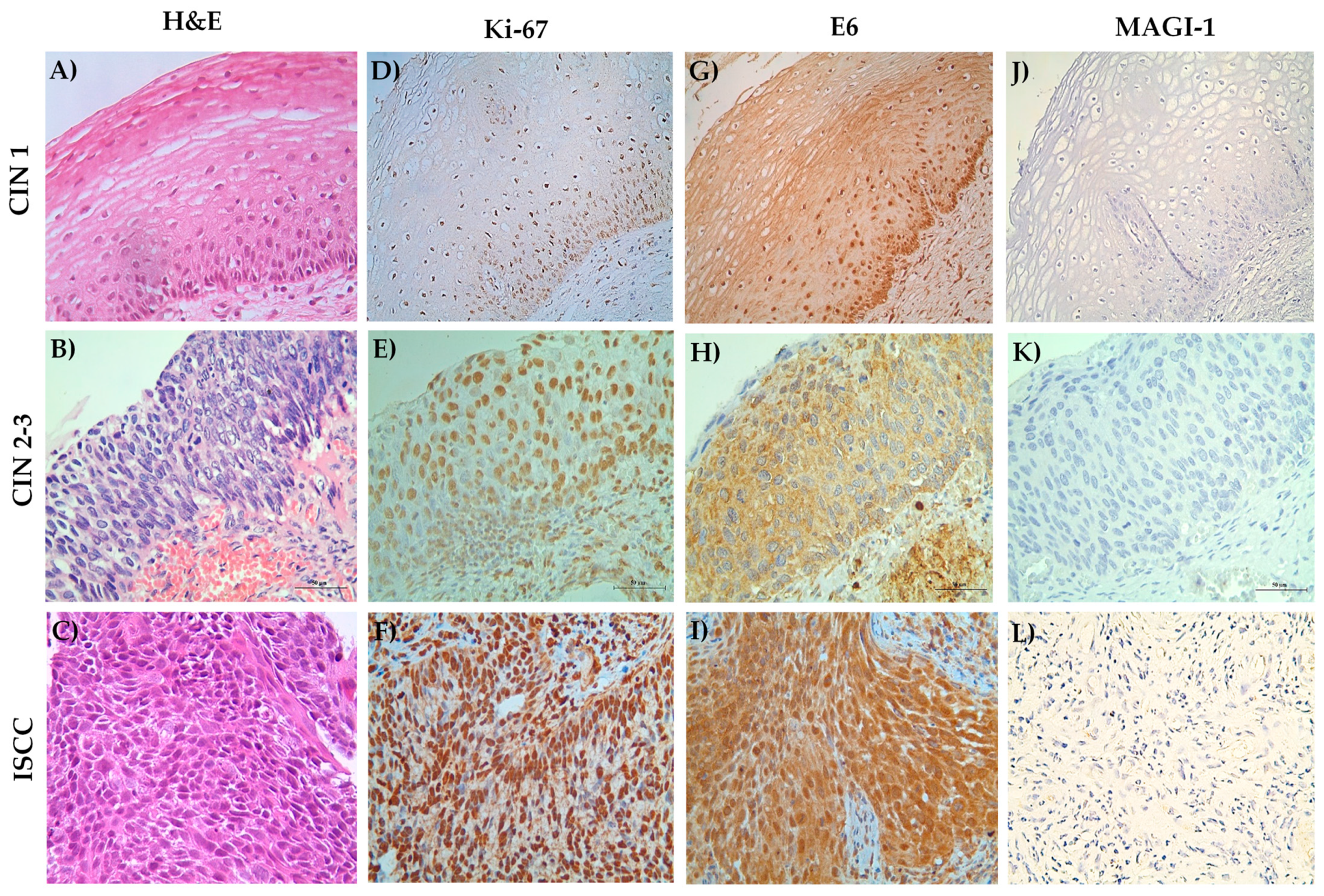 Cancers 16 02225 g007