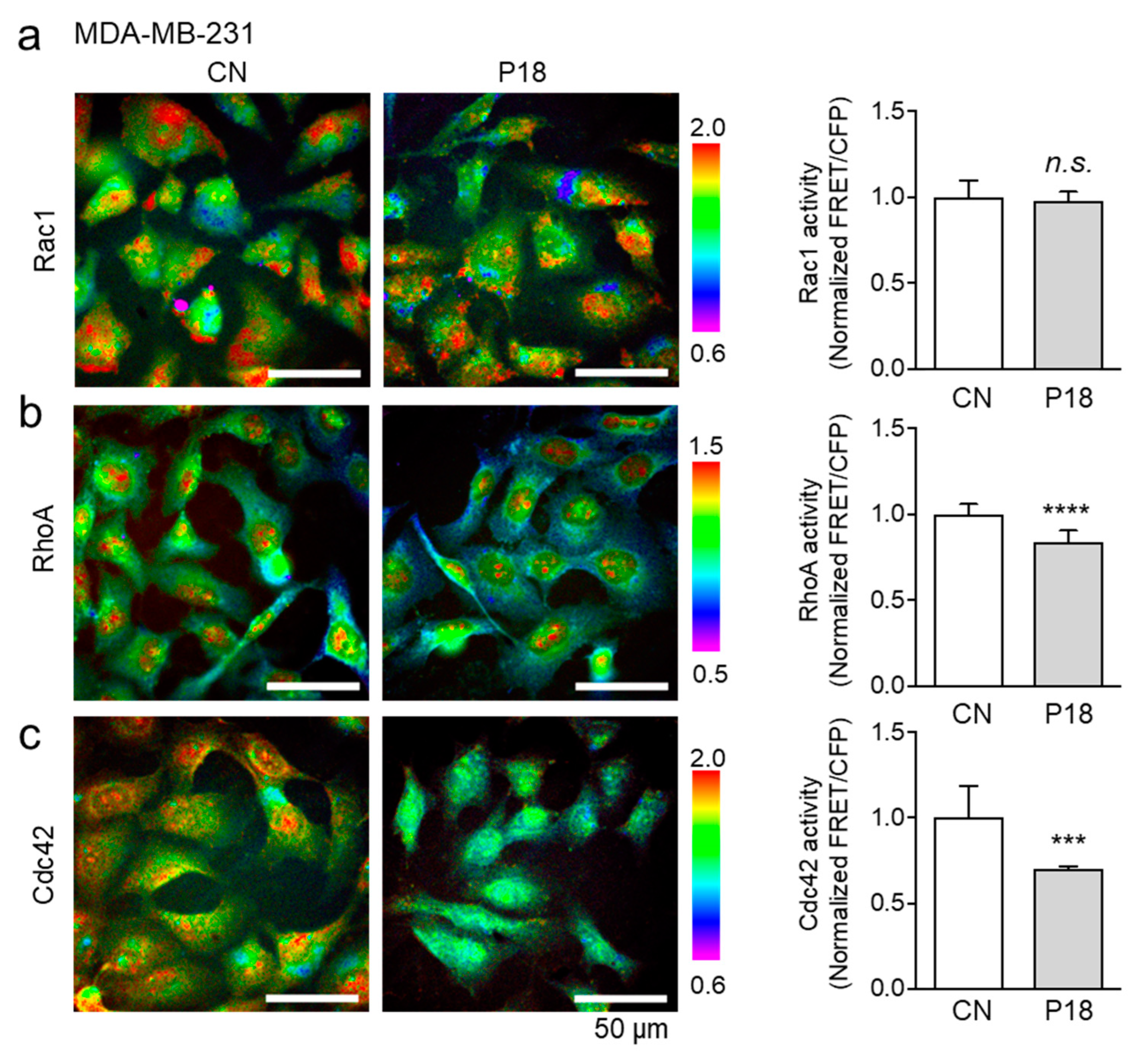 Cancers 16 02230 g006