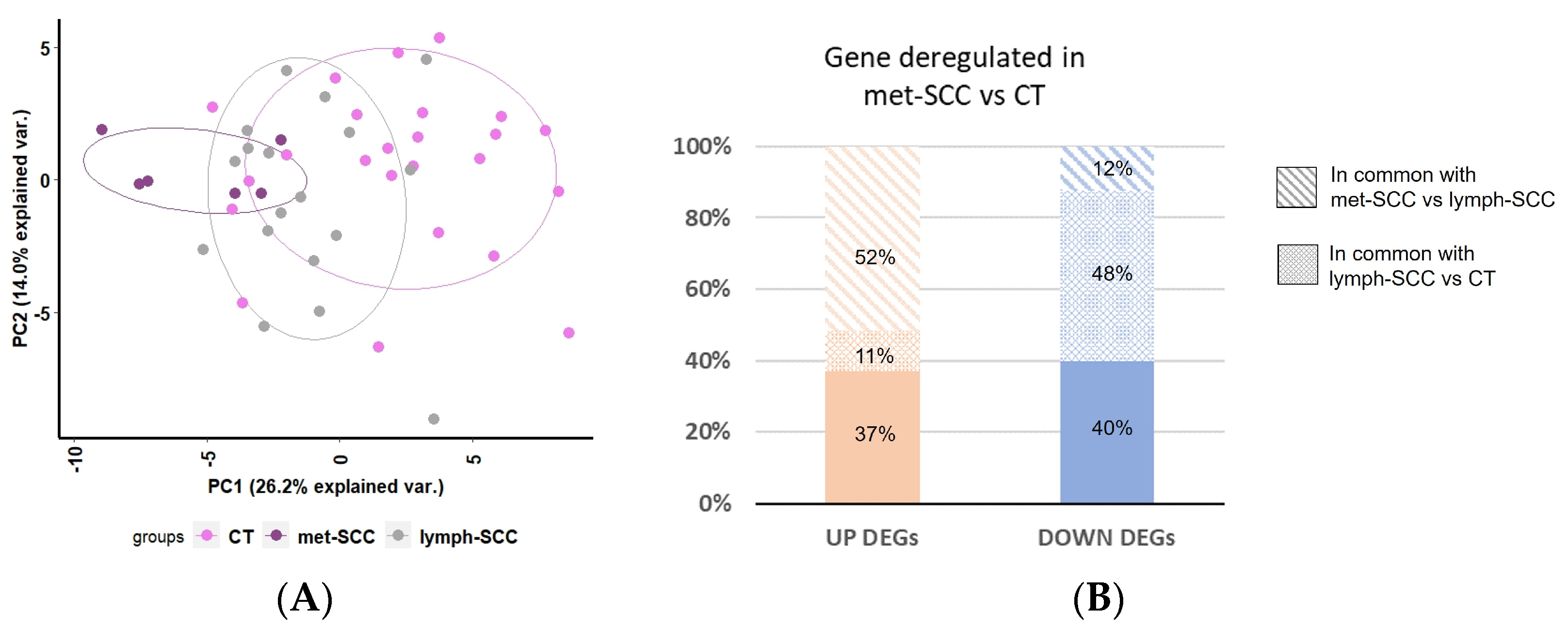 Cancers 16 02233 g004