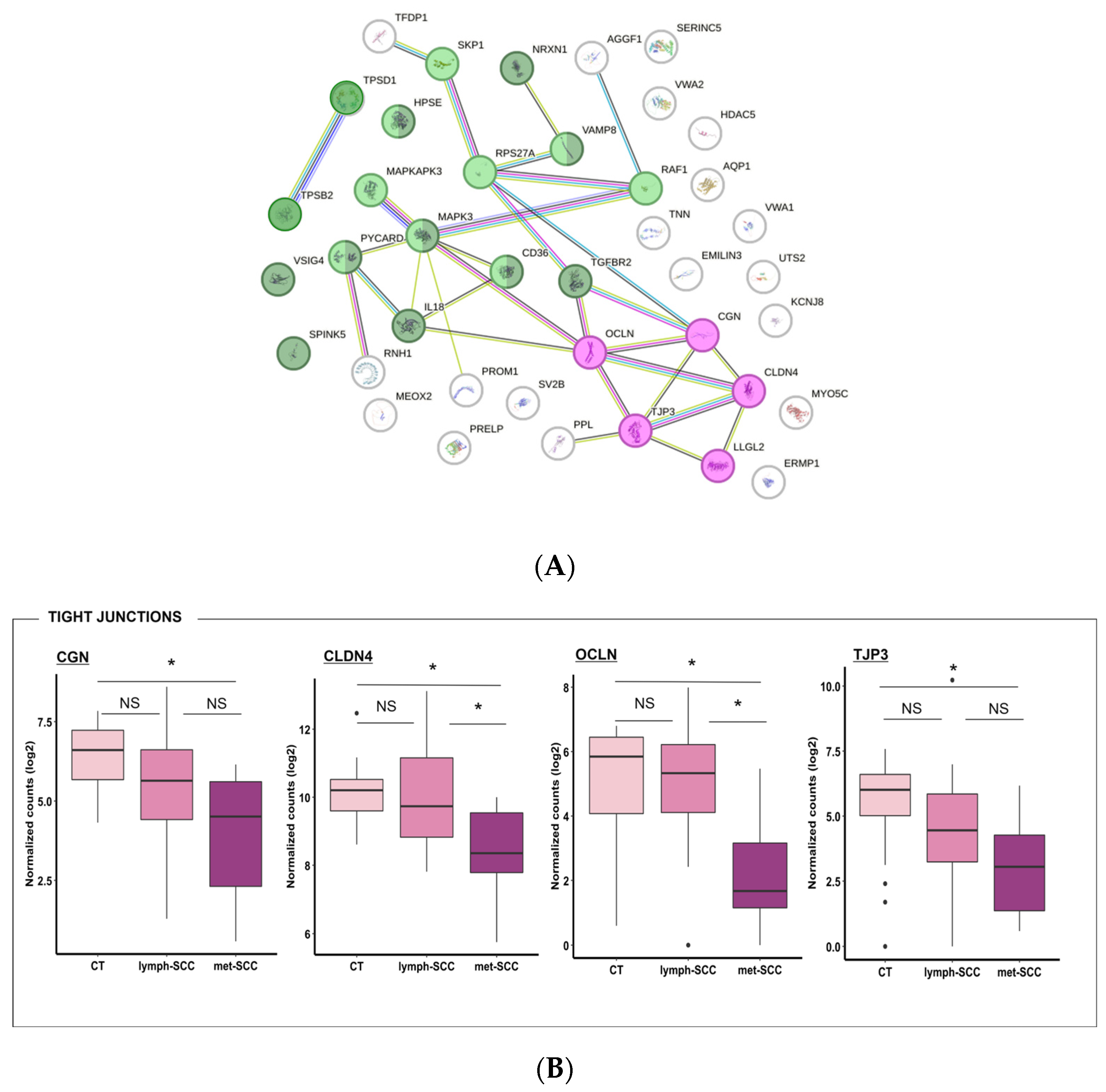Cancers 16 02233 g005a