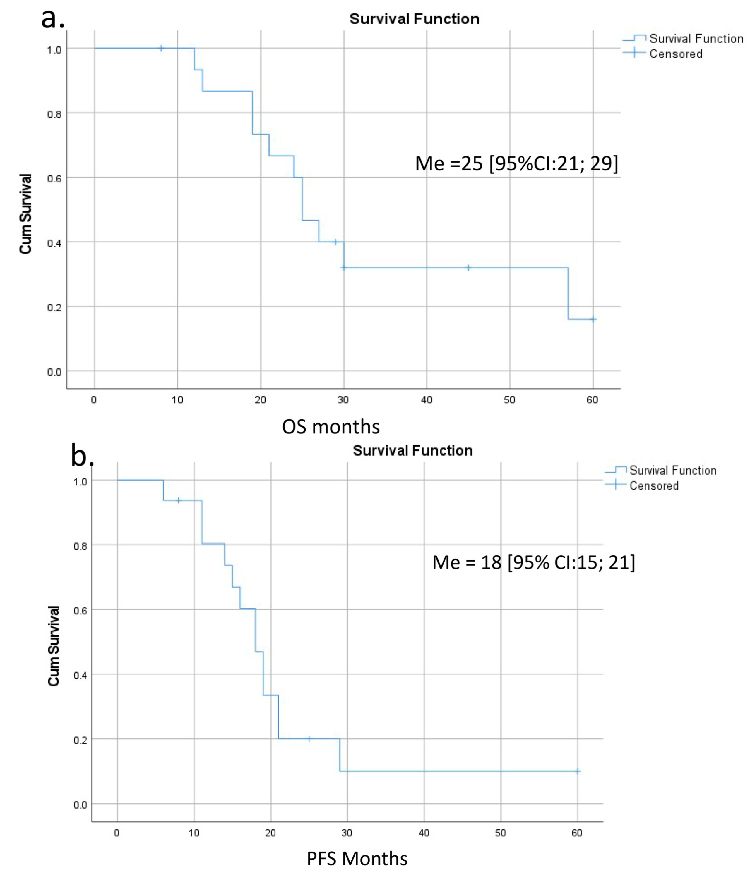 Cancers 16 02234 g008a Cancers 16 02234 g008a