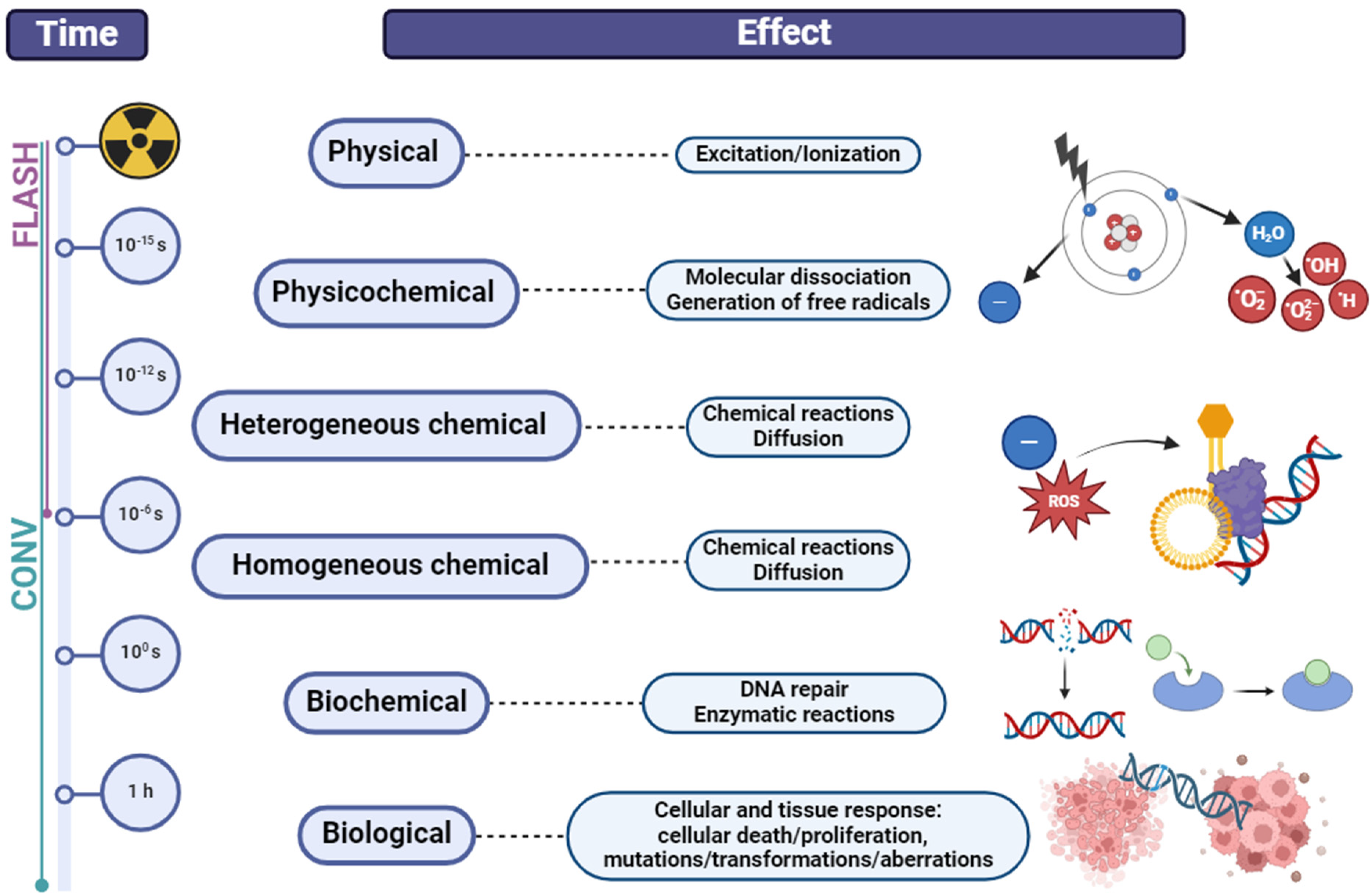 Cancers 16 02235 g001 Cancers 16 02235 g001
