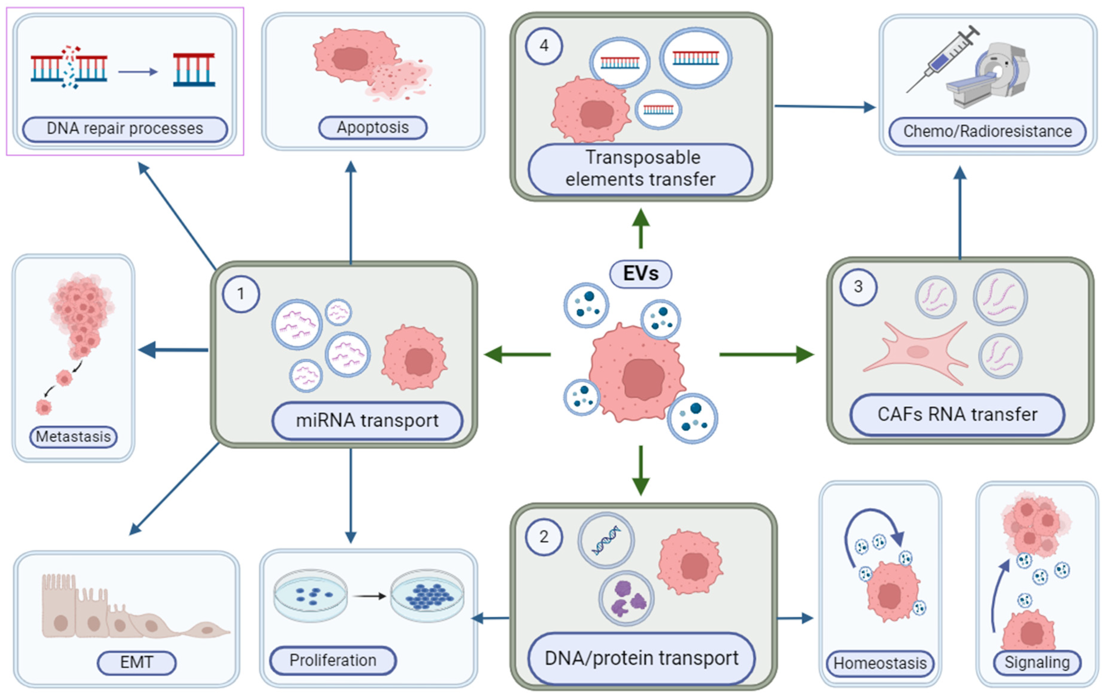 Cancers 16 02235 g004 Cancers 16 02235 g004