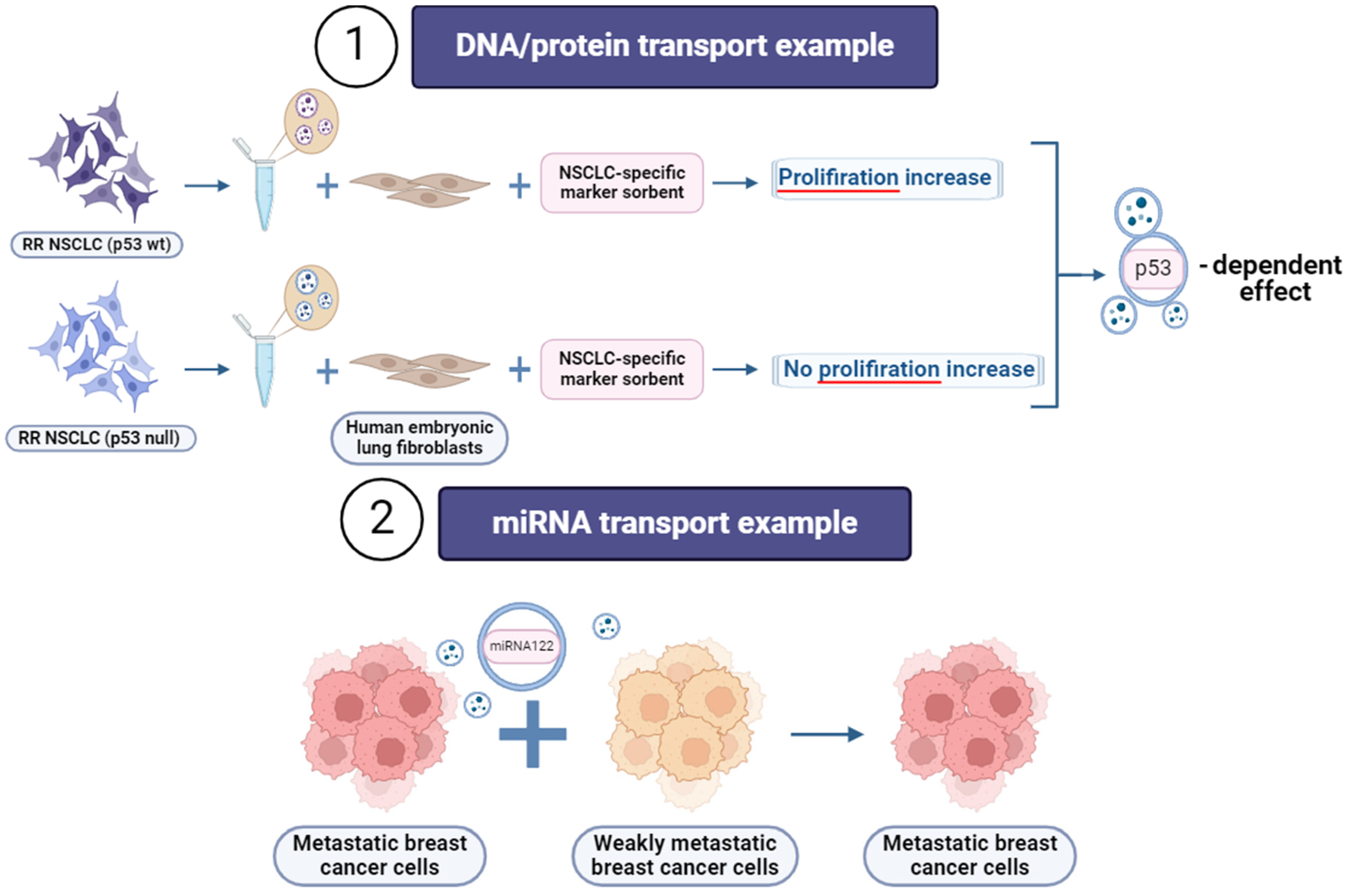 Cancers 16 02235 g005 Cancers 16 02235 g005