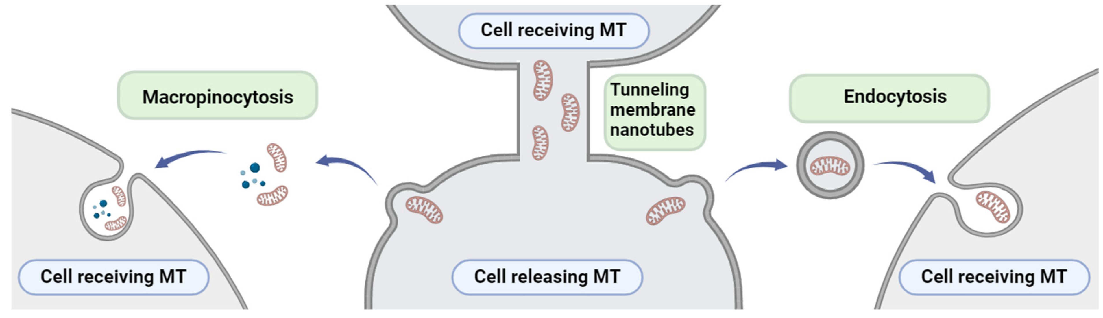 Cancers 16 02235 g006 Cancers 16 02235 g006