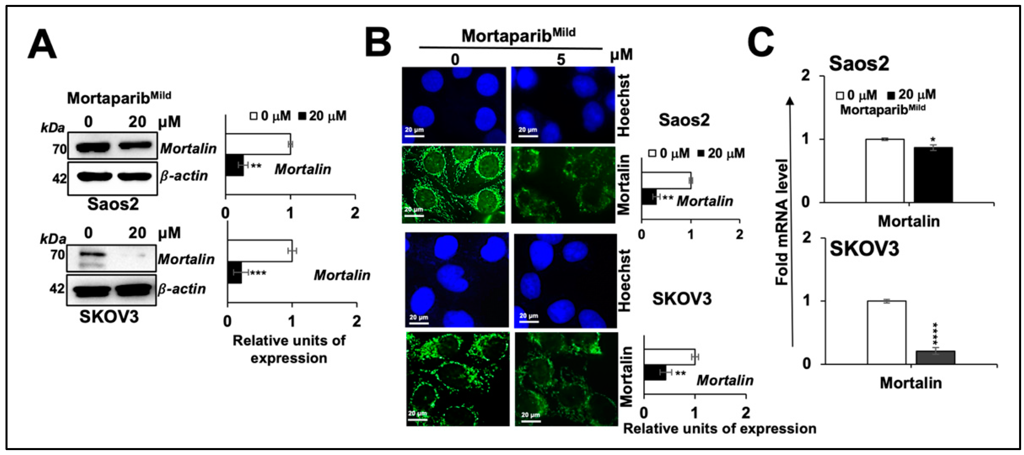 Cancers 16 02239 g002