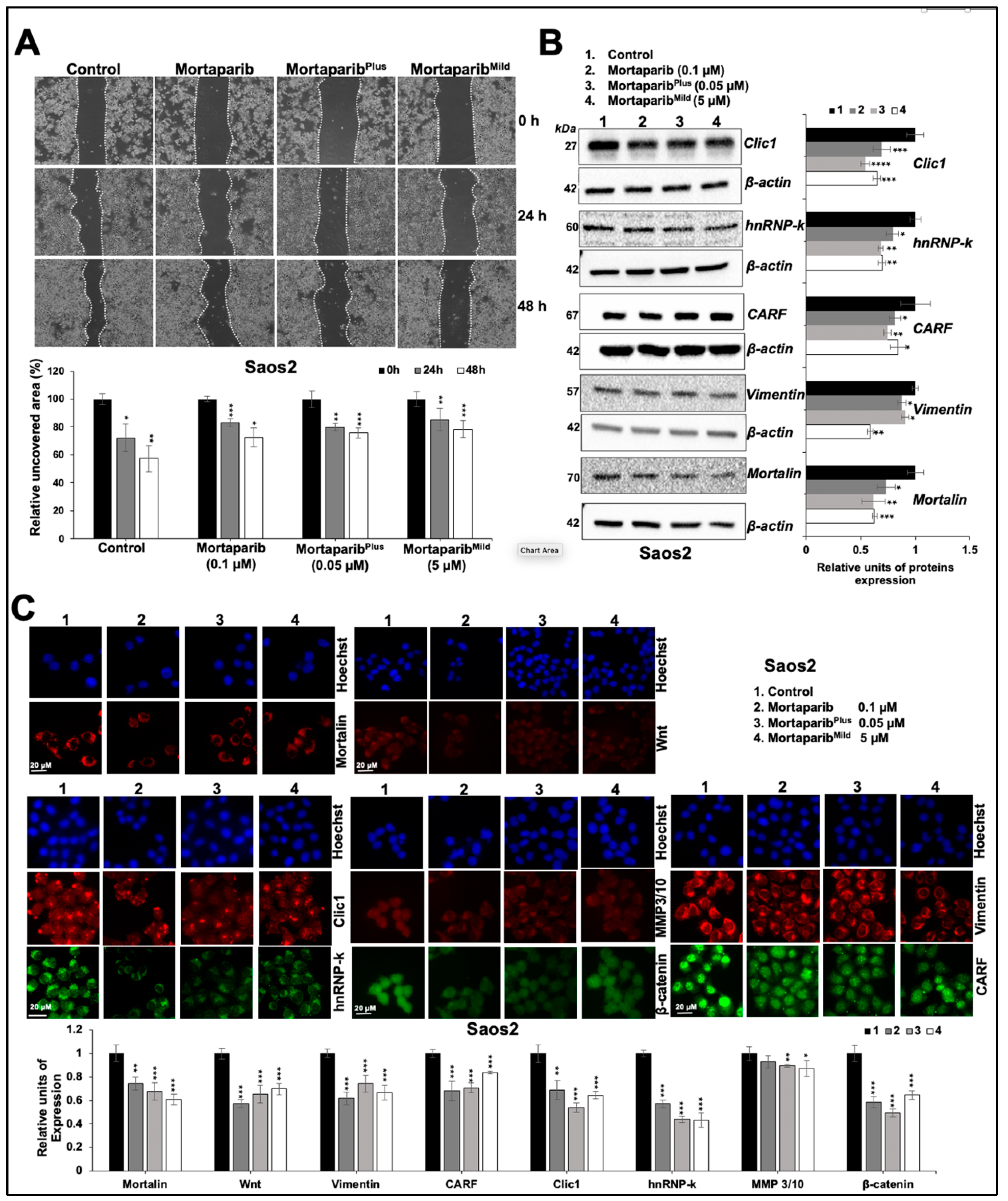 Cancers 16 02239 g004