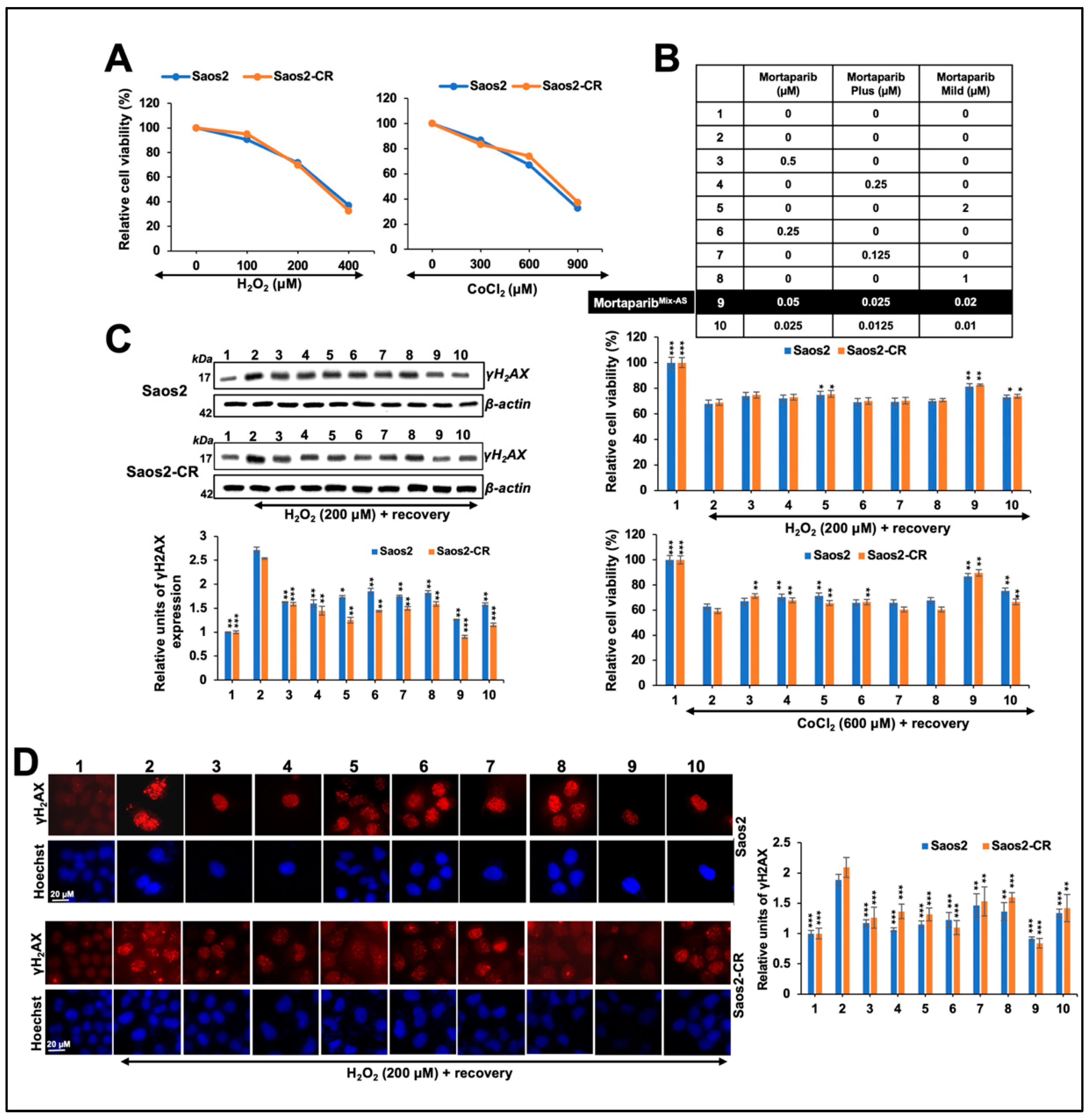 Cancers 16 02239 g007