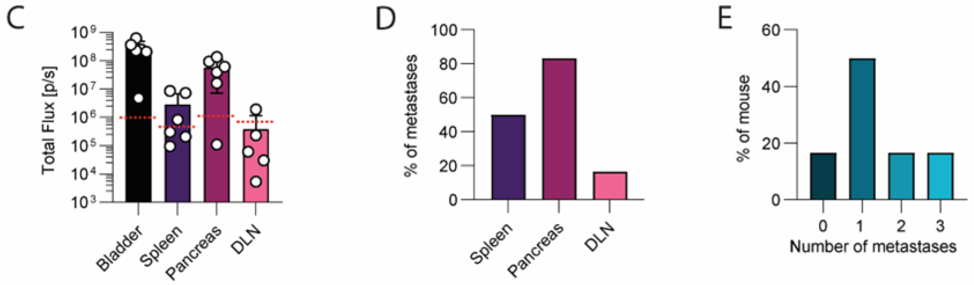 Cancers 16 02245 g005b