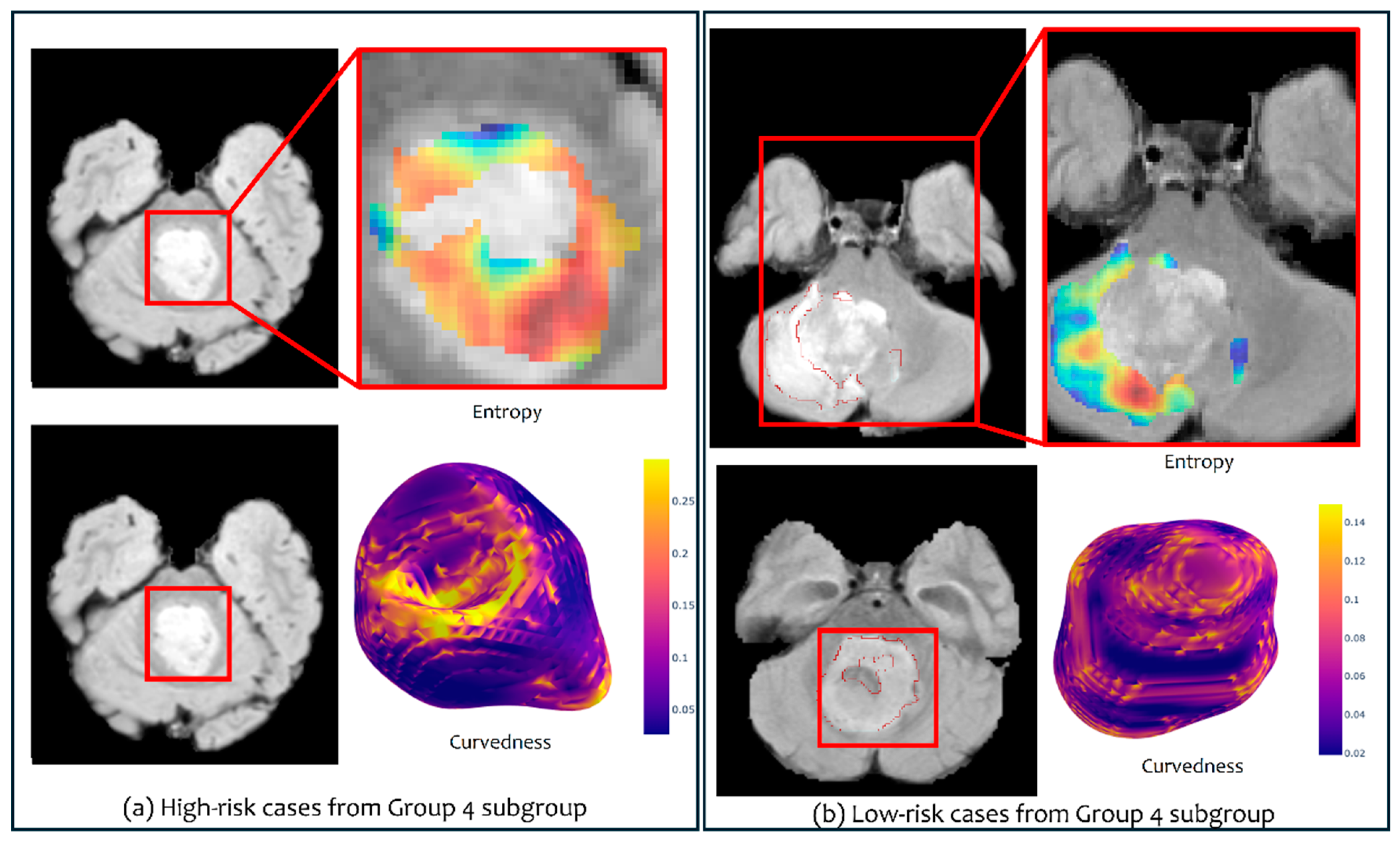 Cancers 16 02248 g004