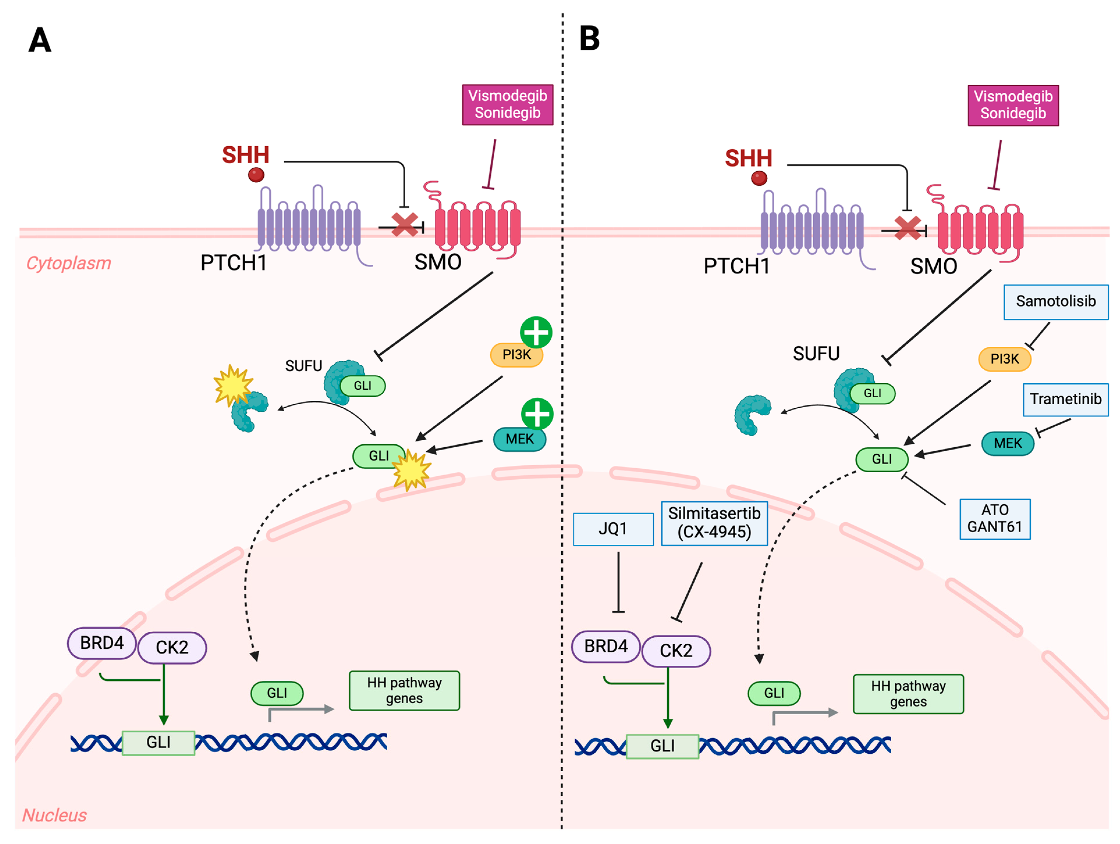 Cancers 16 02249 g004 Cancers 16 02249 g004