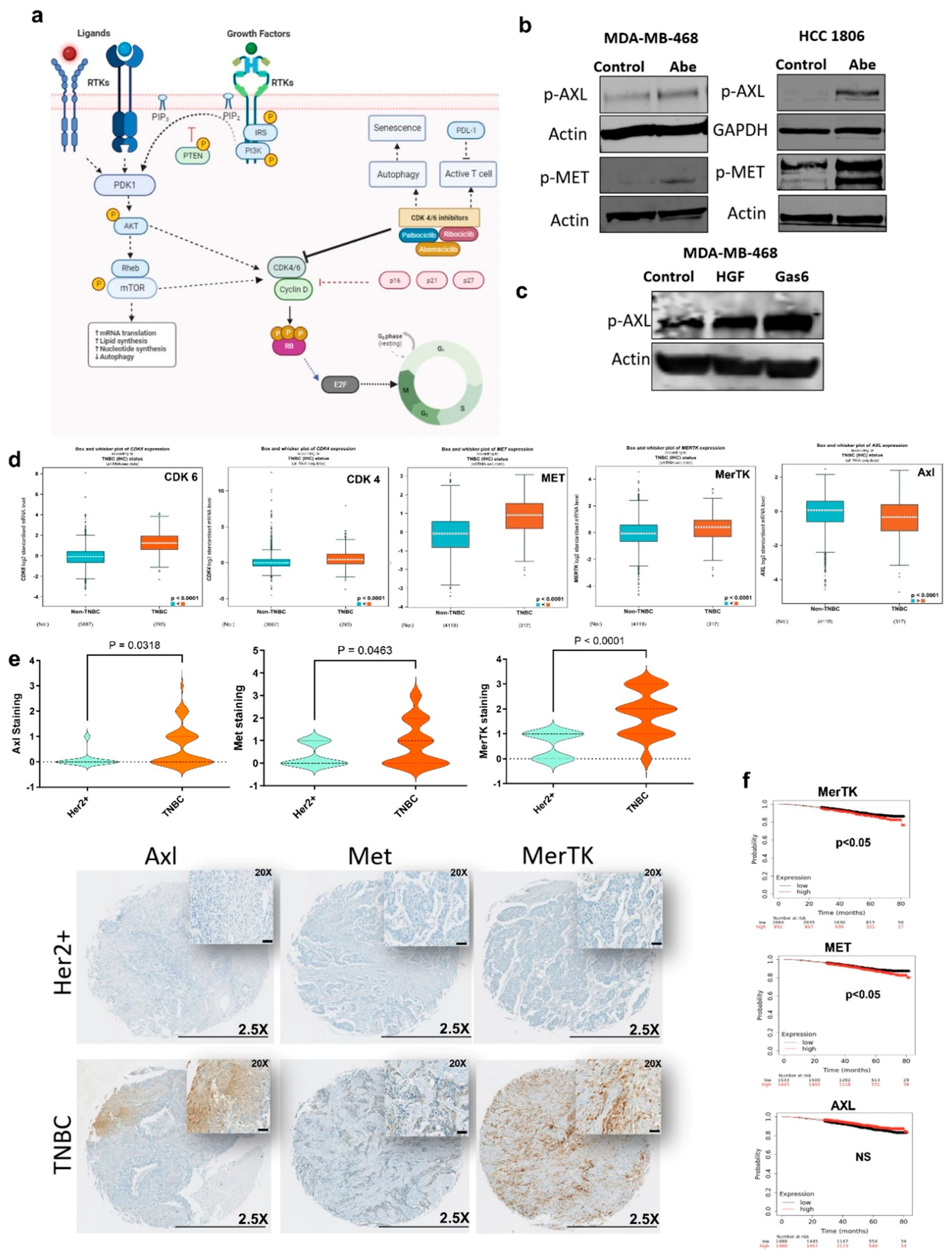 Cancers 16 02253 g001
