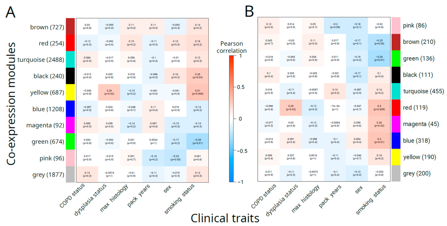 Cancers 16 02260 g002 Cancers 16 02260 g002