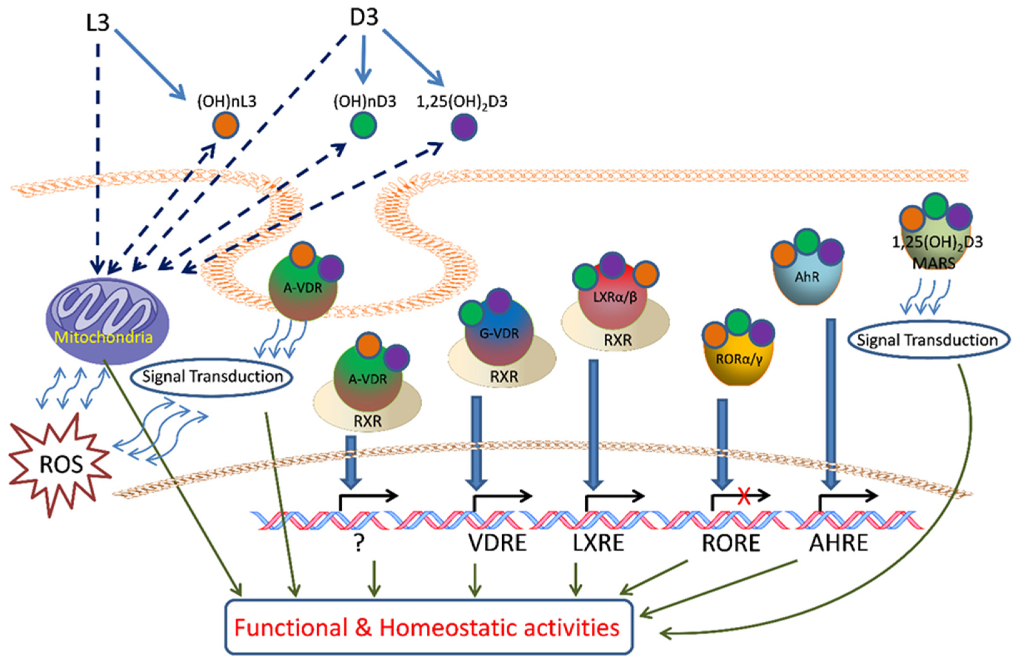 Cancers 16 02262 g003 Cancers 16 02262 g003