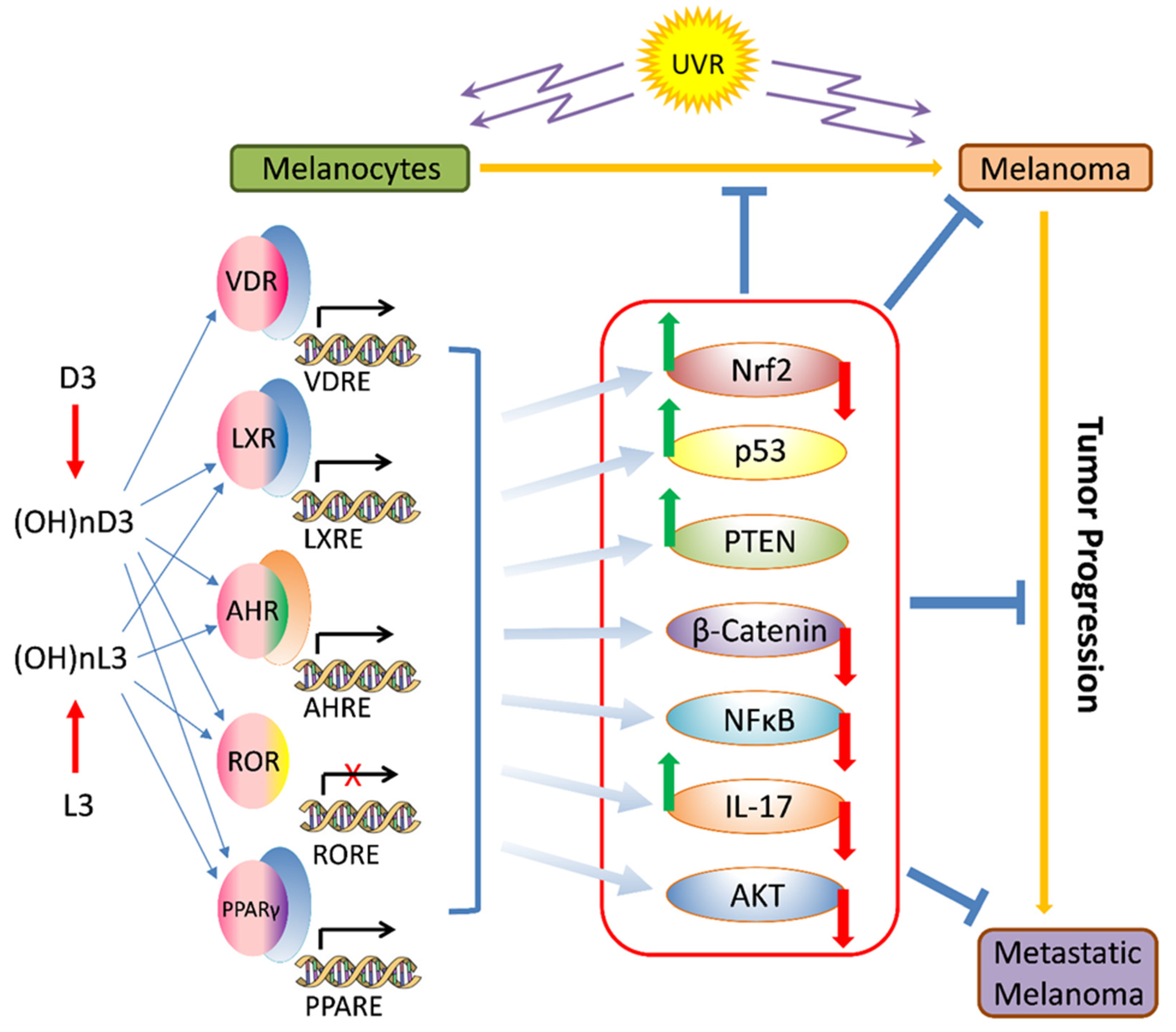 Cancers 16 02262 g005 Cancers 16 02262 g005