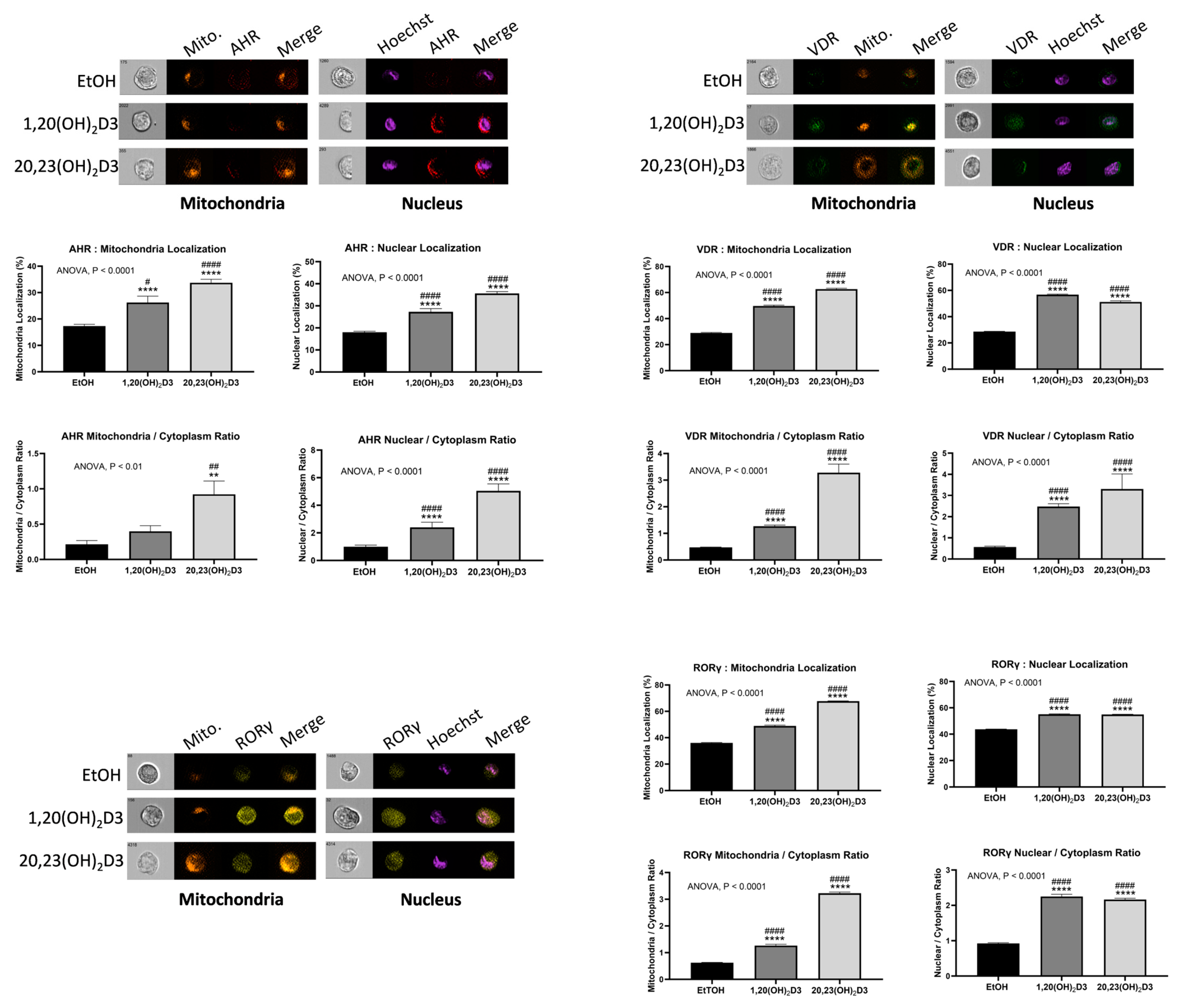 Cancers 16 02262 g006 Cancers 16 02262 g006