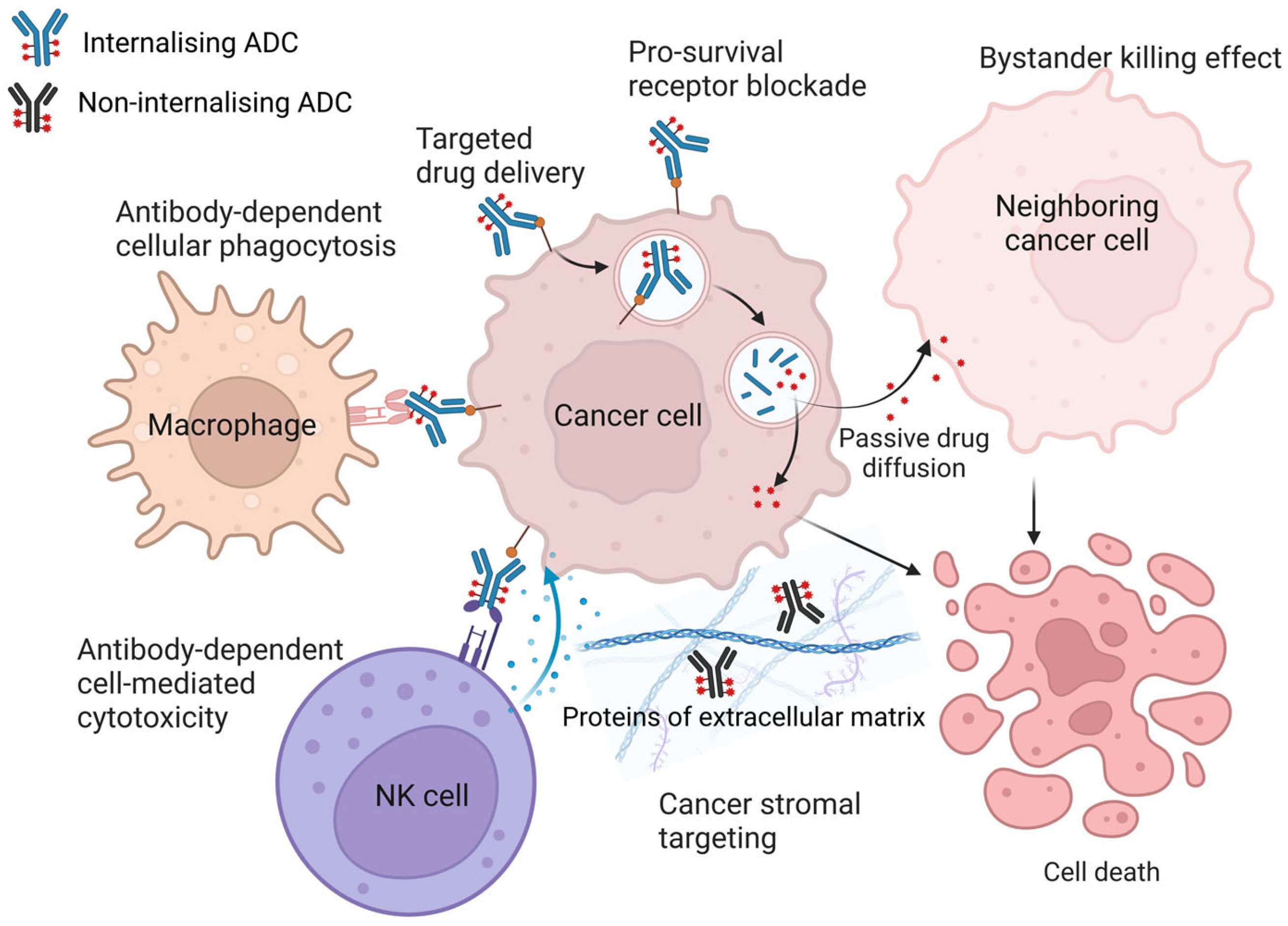 Cancers 16 02270 g003 Cancers 16 02270 g003
