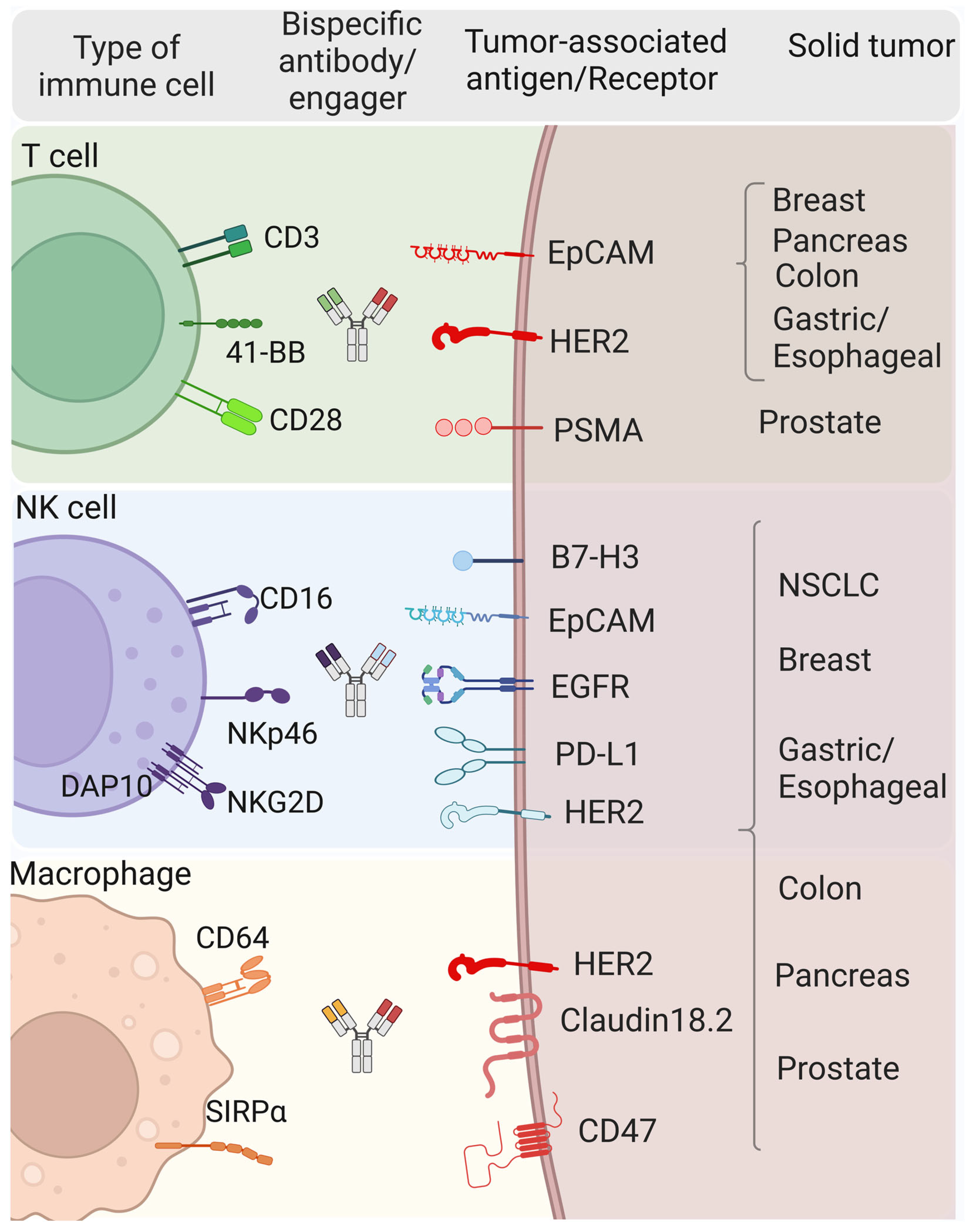 Cancers 16 02270 g004 Cancers 16 02270 g004