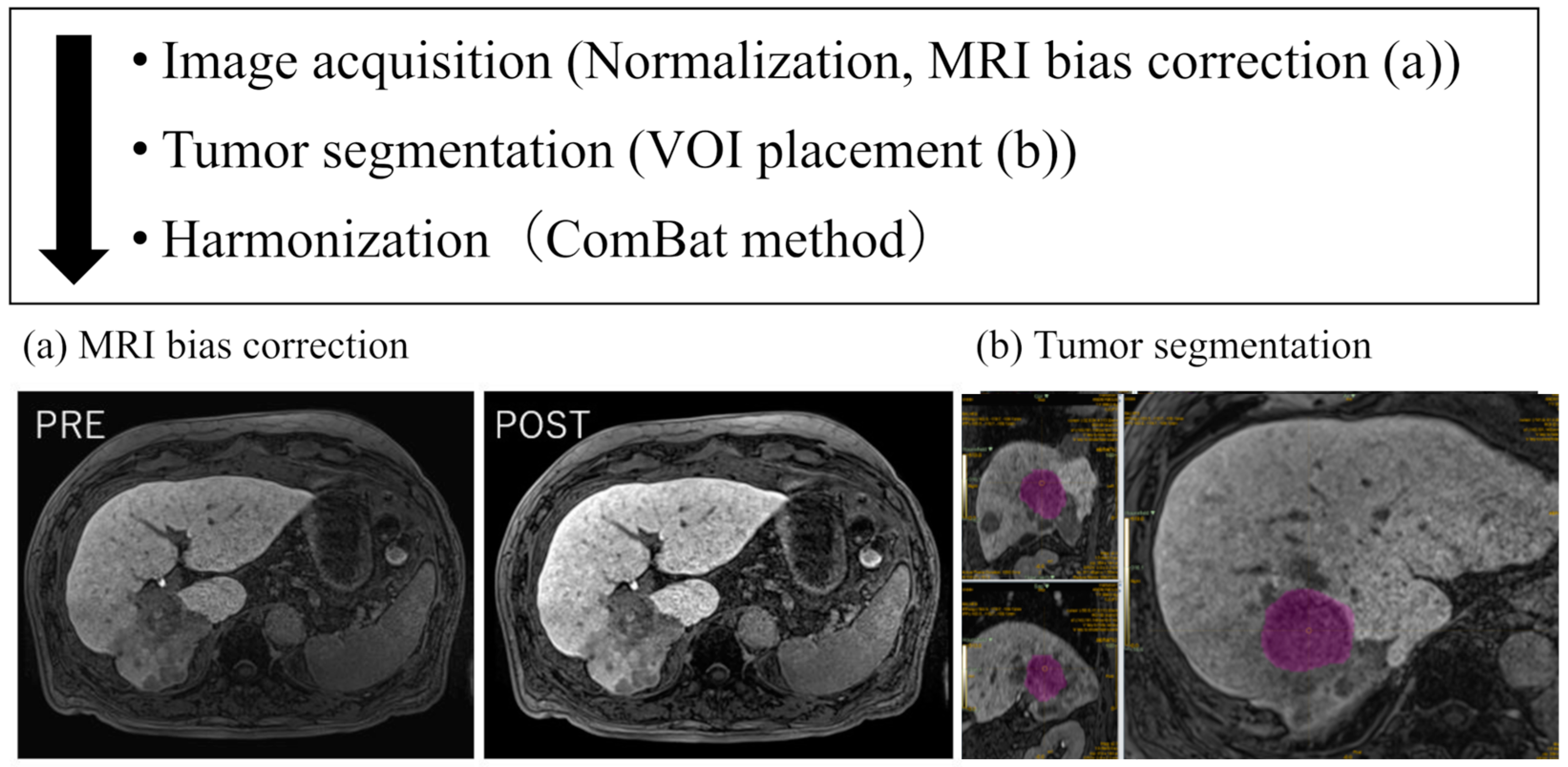 Cancers 16 02275 g001