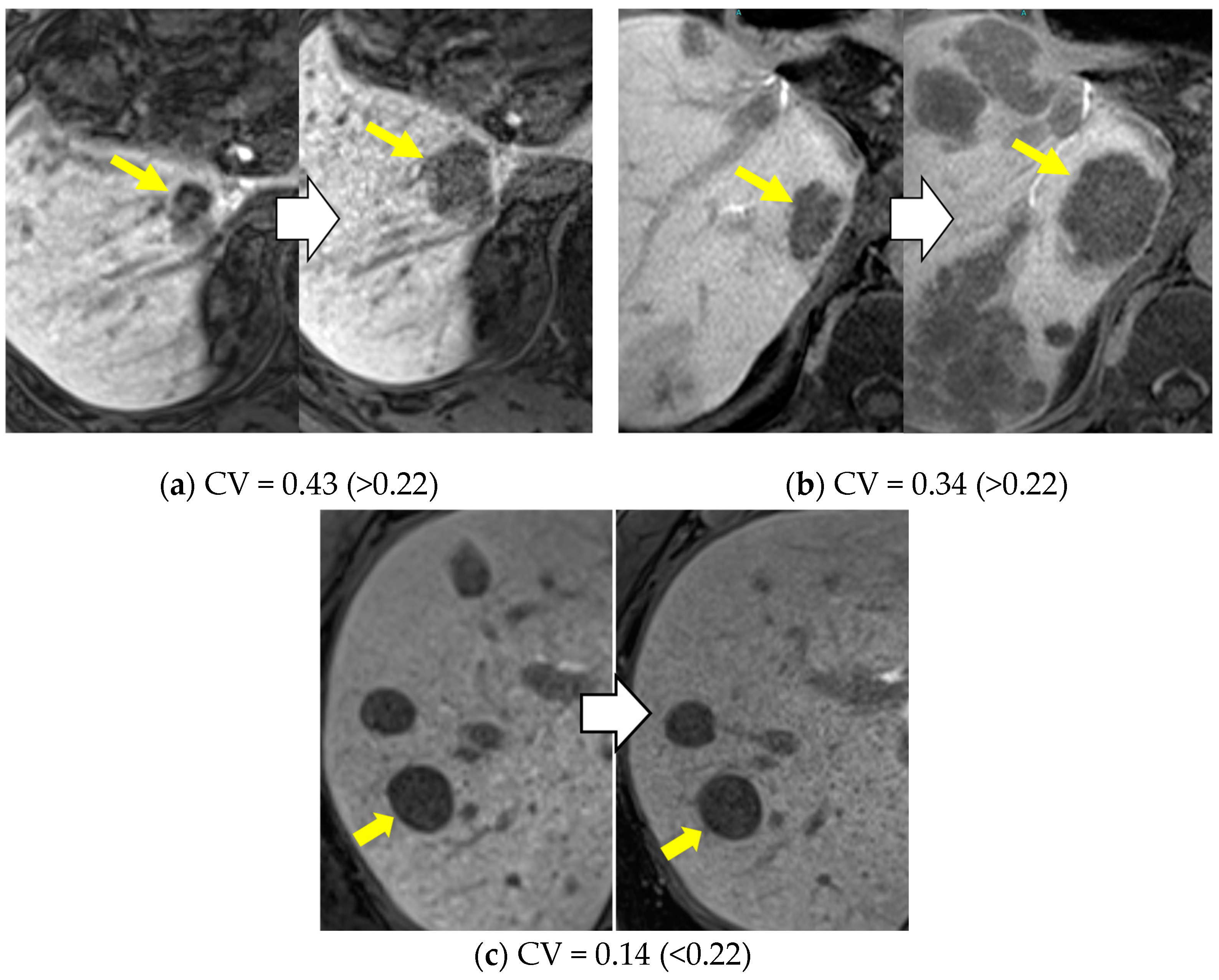 Cancers 16 02275 g003
