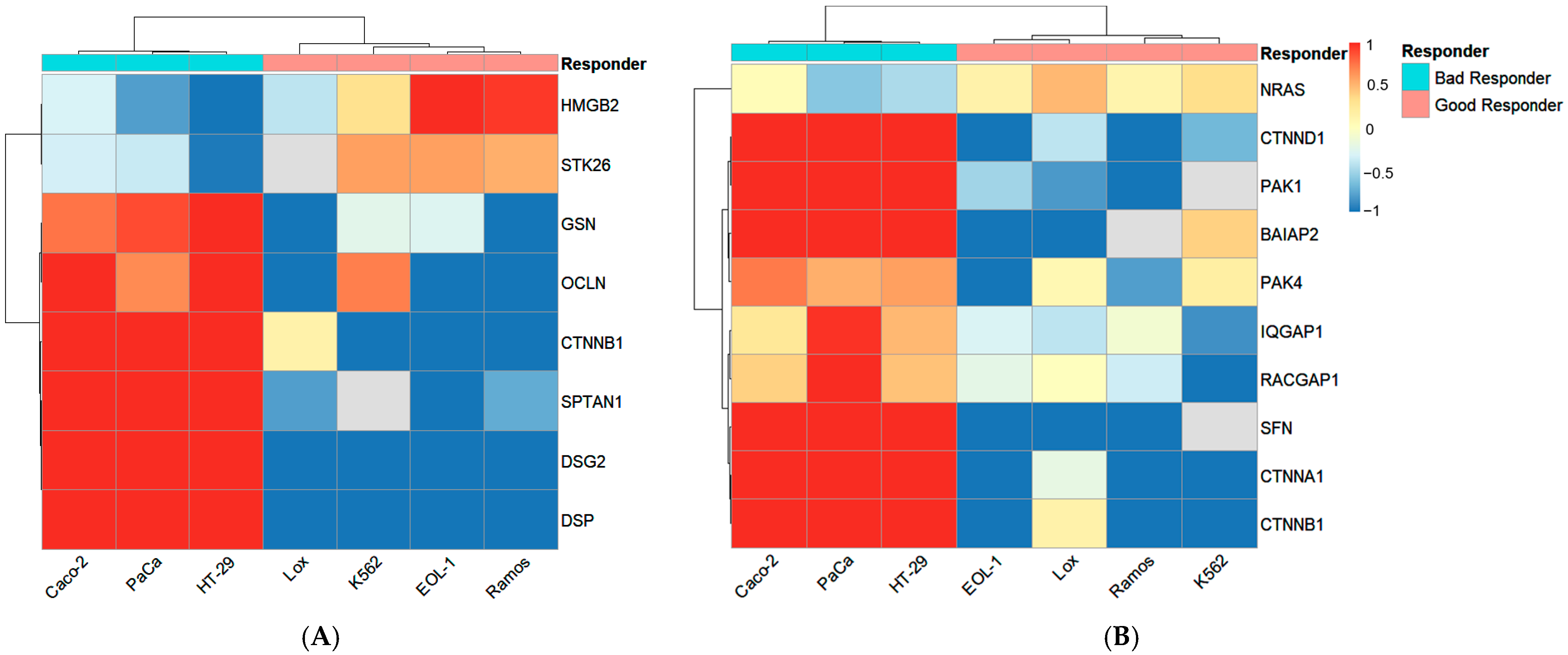 Cancers 16 02278 g003