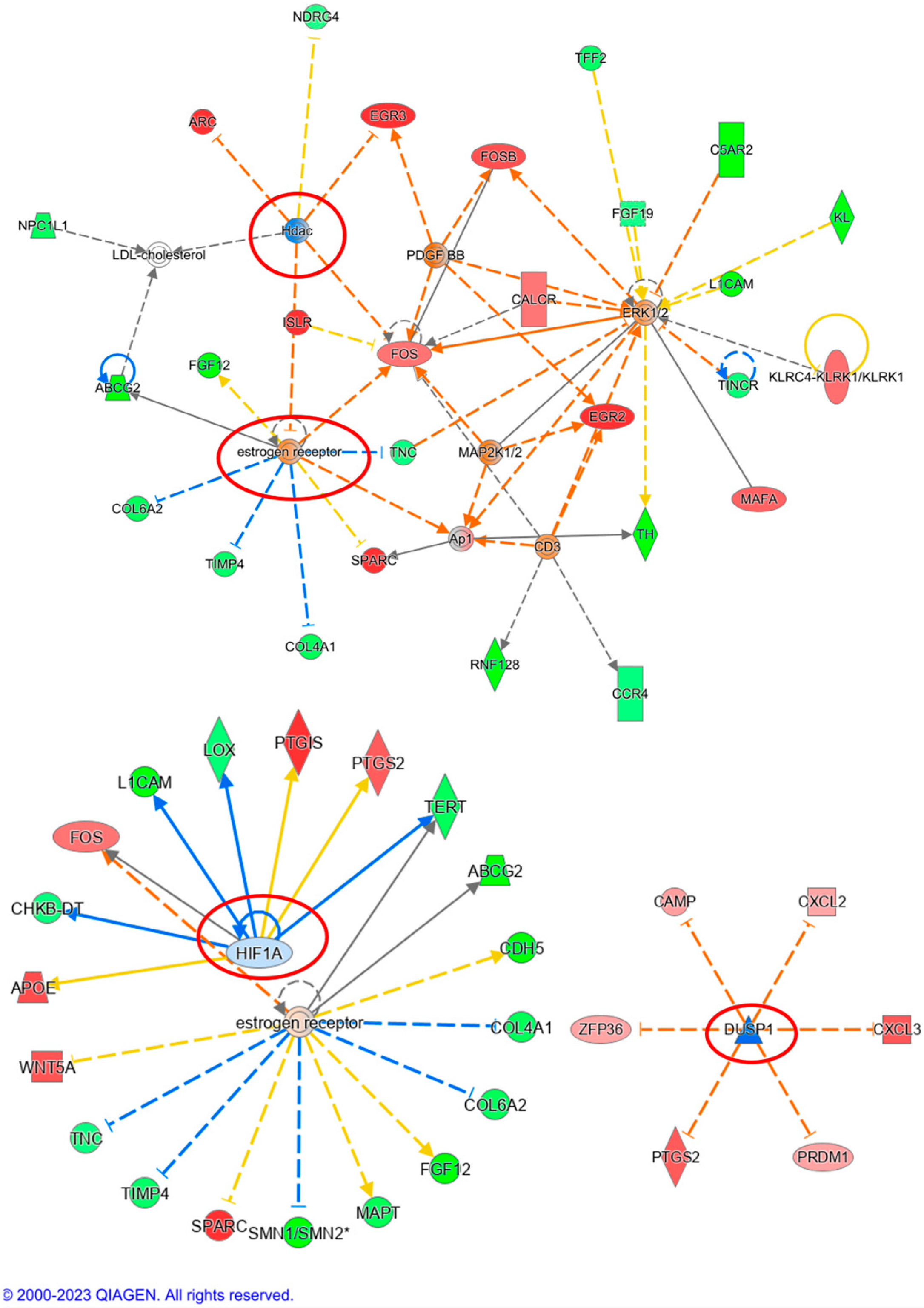 Cancers 16 02278 g011