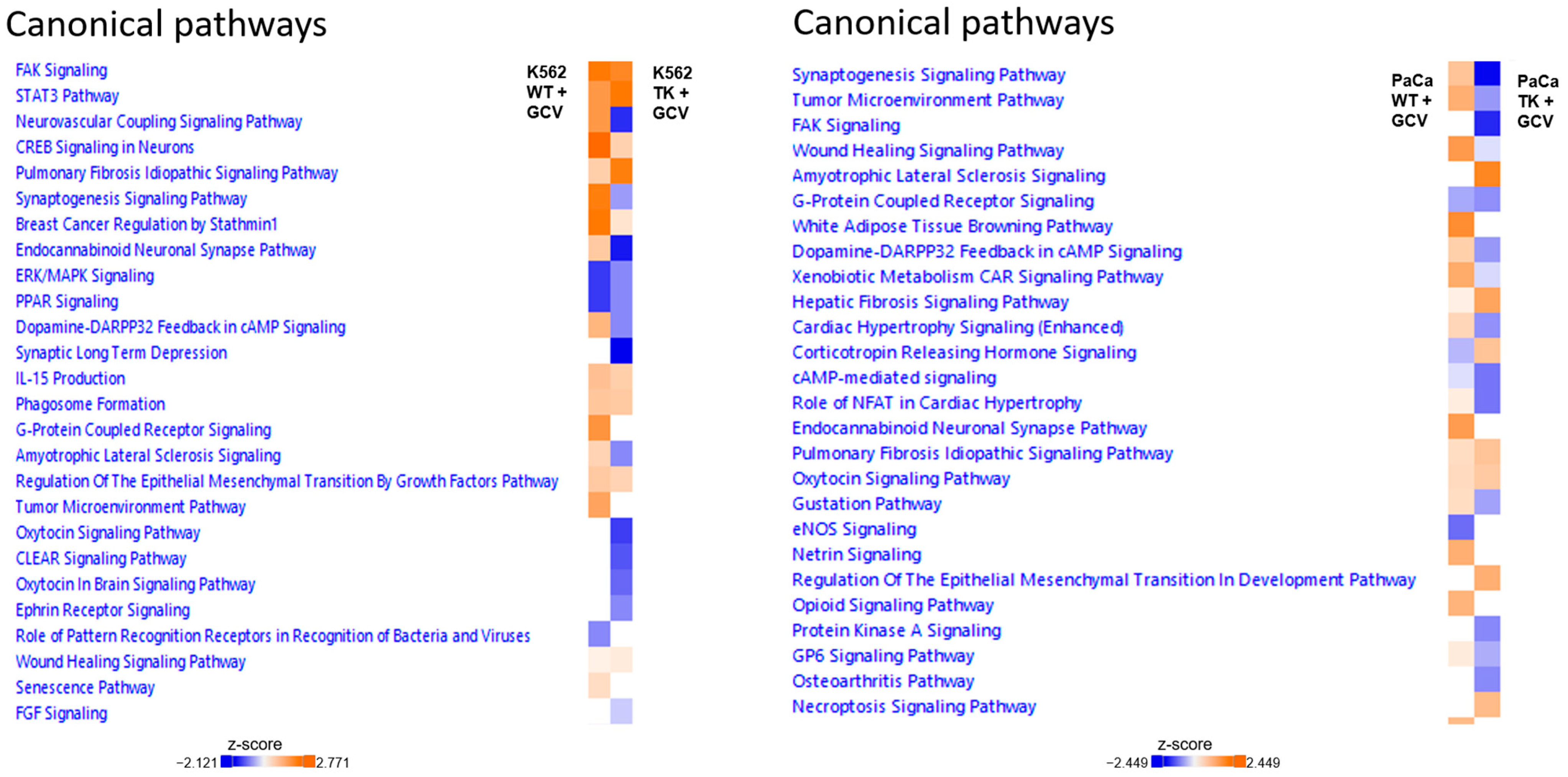 Cancers 16 02278 g012
