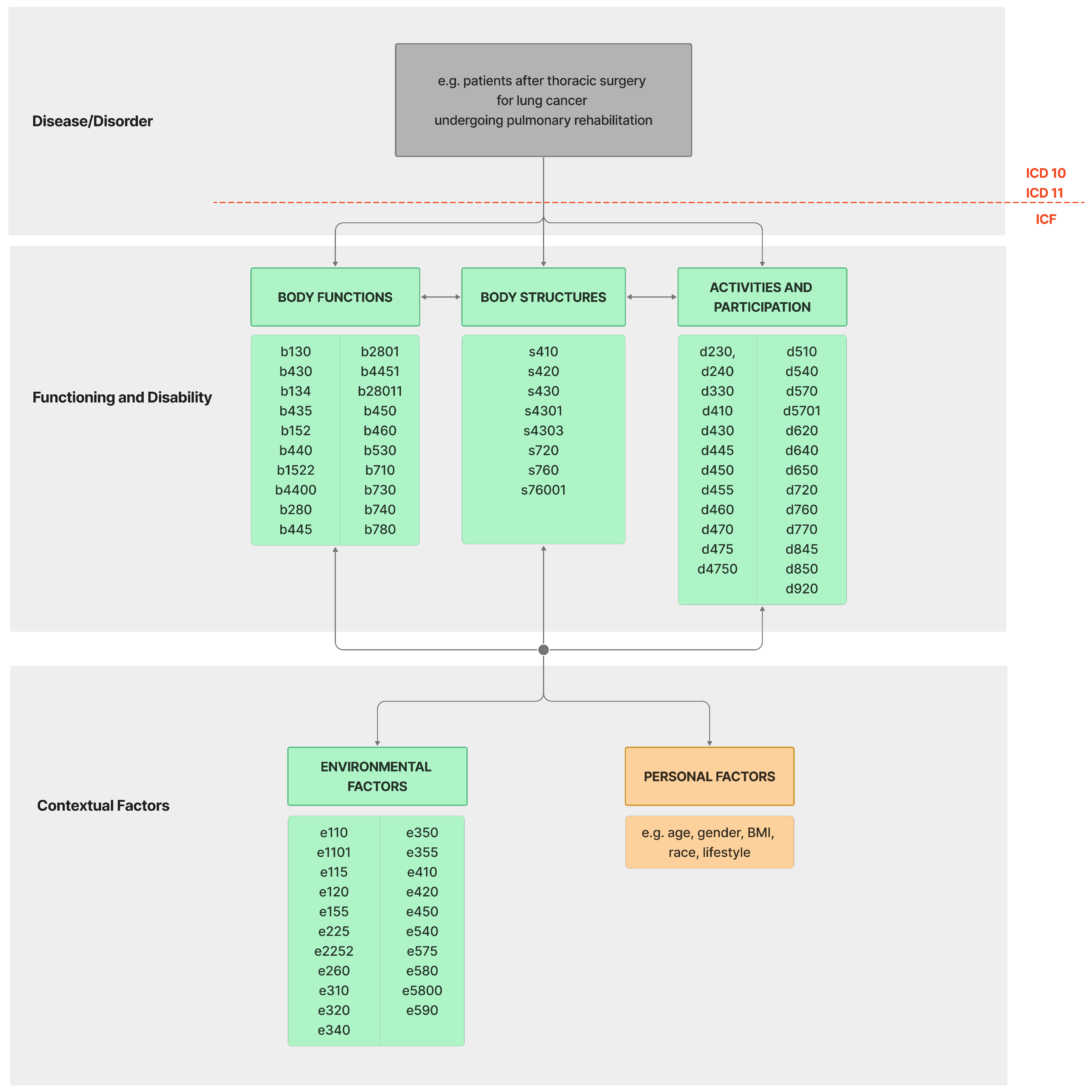 Cancers 16 02281 g002