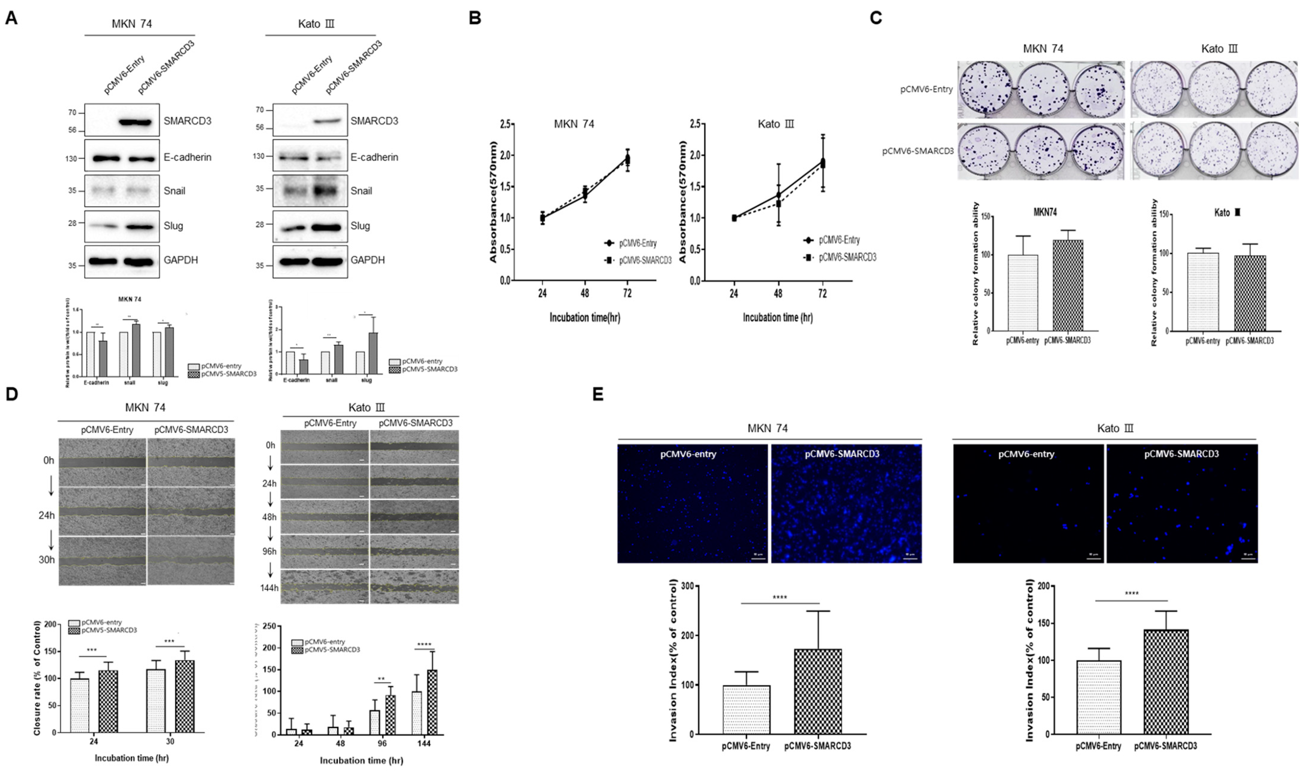 Cancers 16 02282 g003