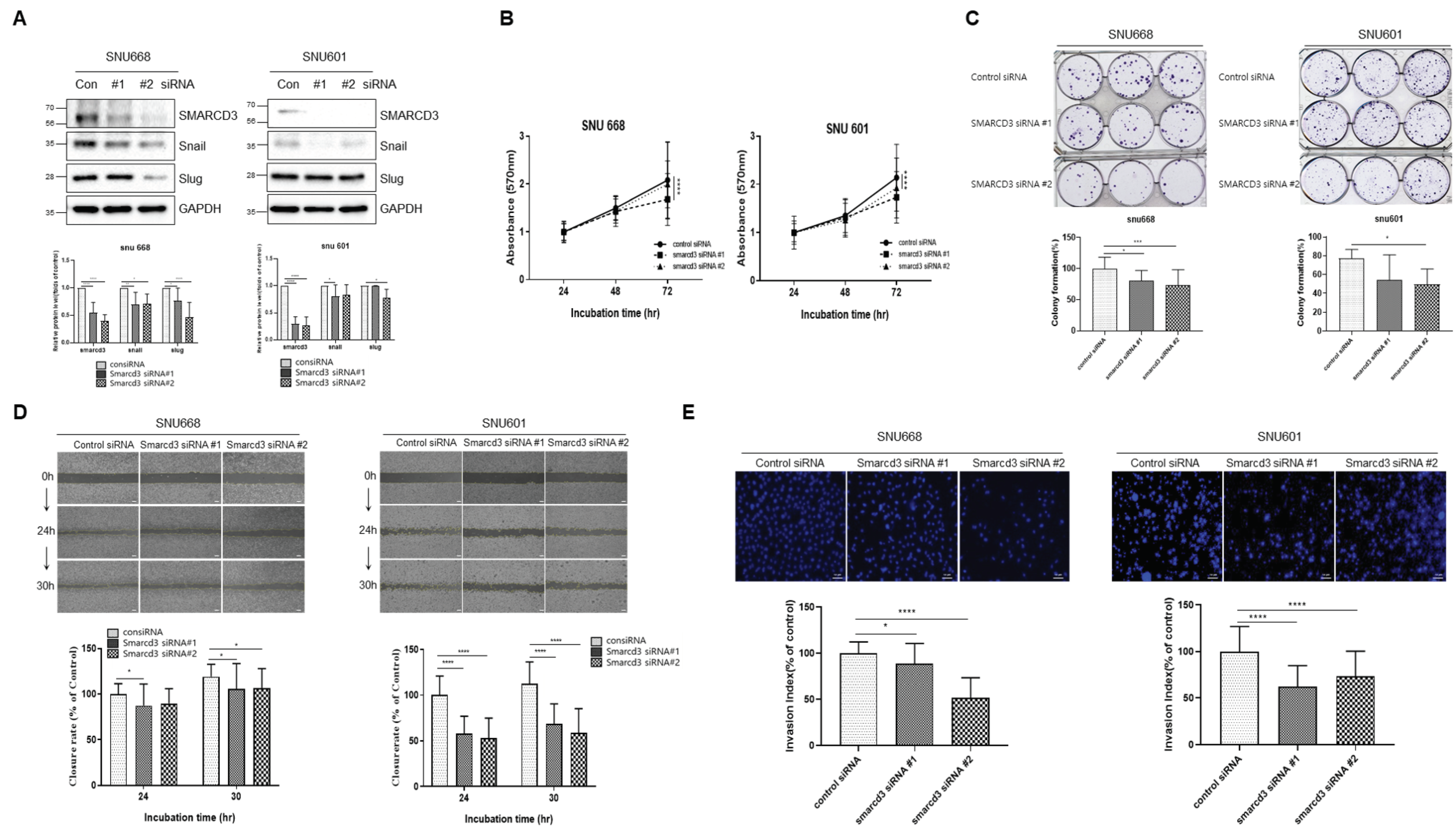 Cancers 16 02282 g004