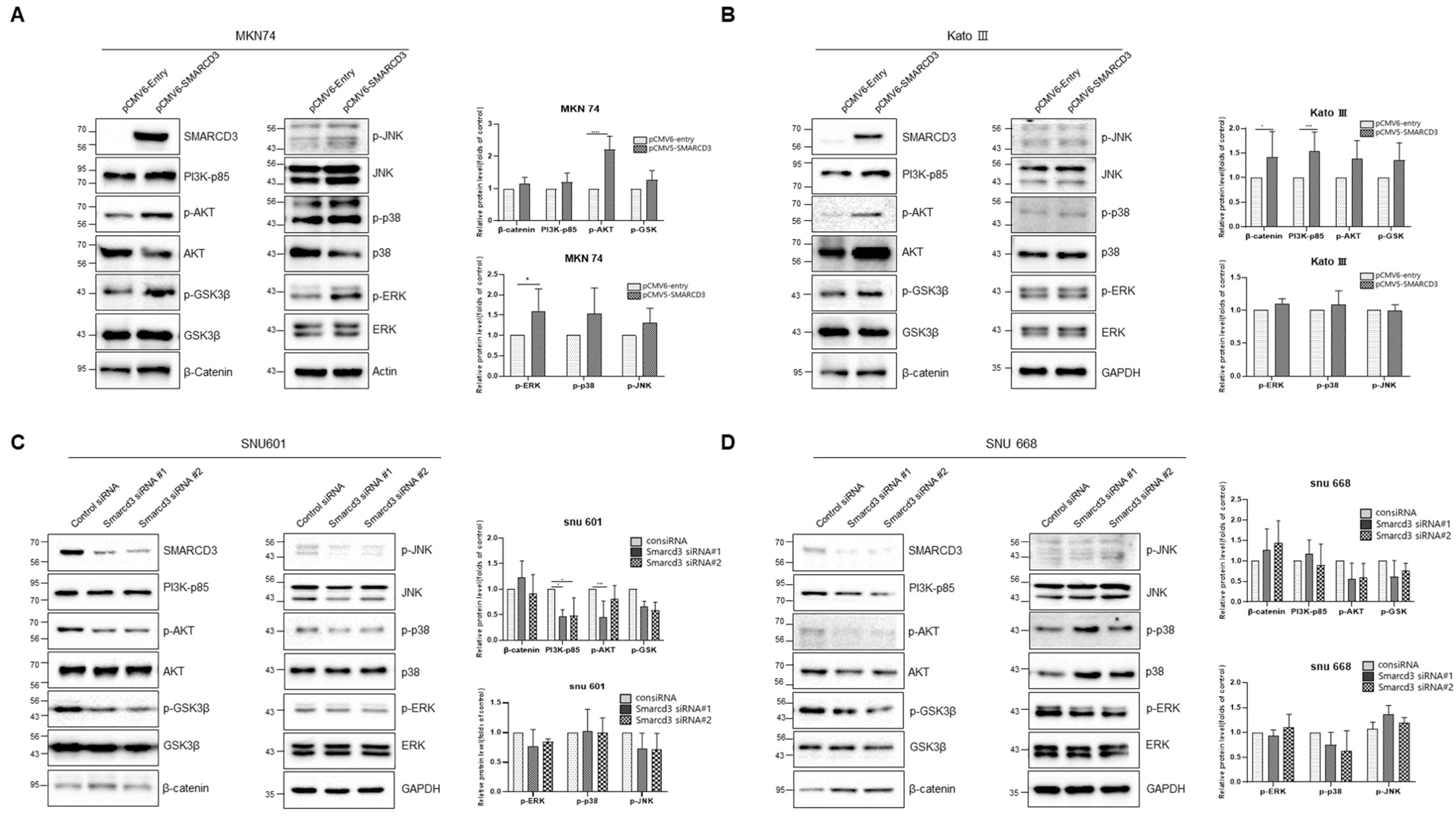 Cancers 16 02282 g006
