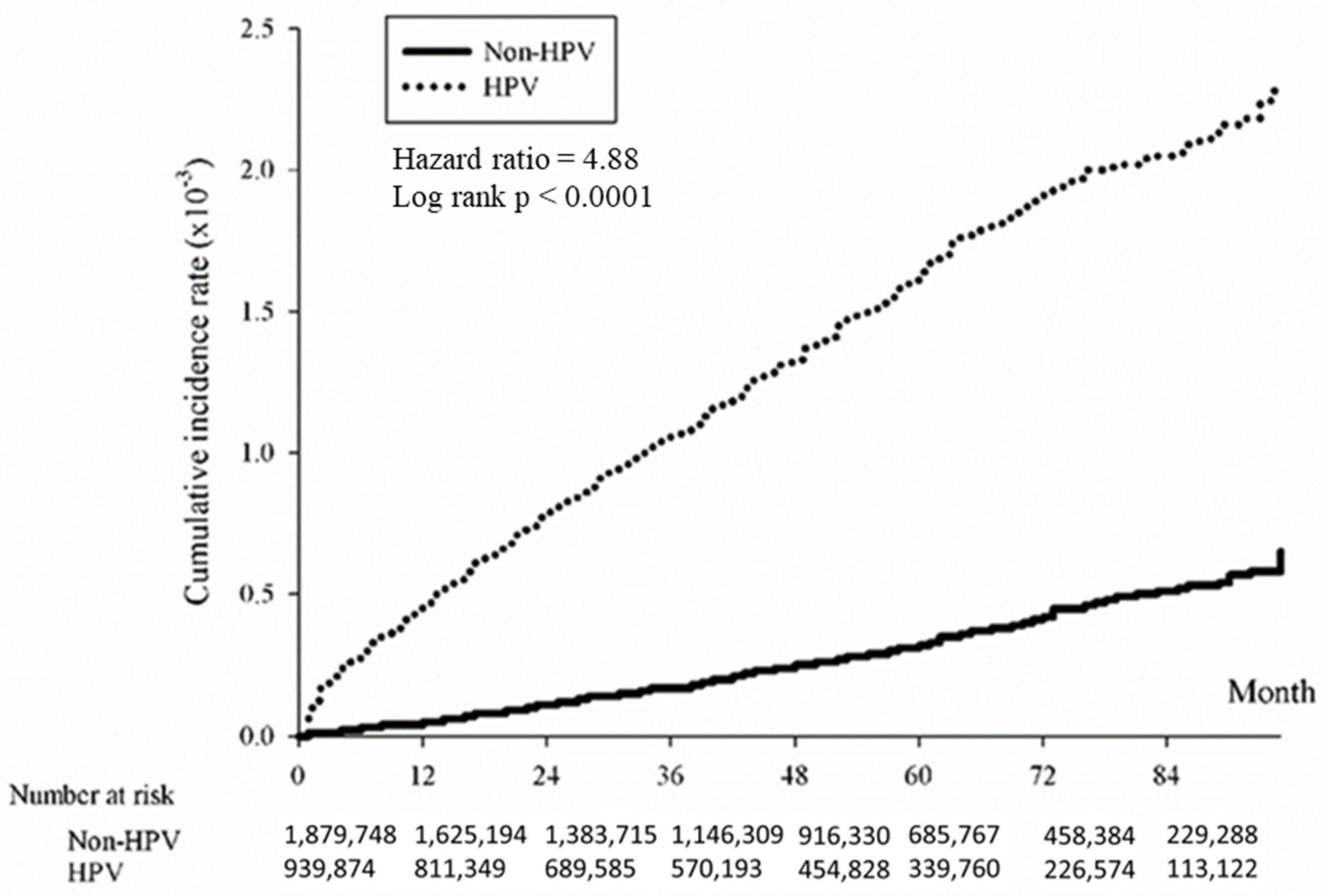 Cancers 16 02284 g002
