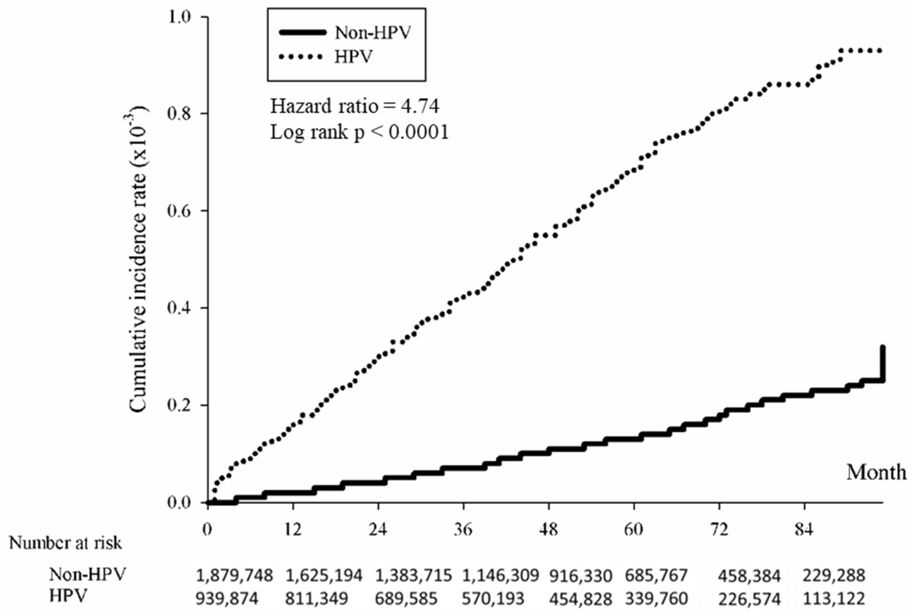 Cancers 16 02284 g004