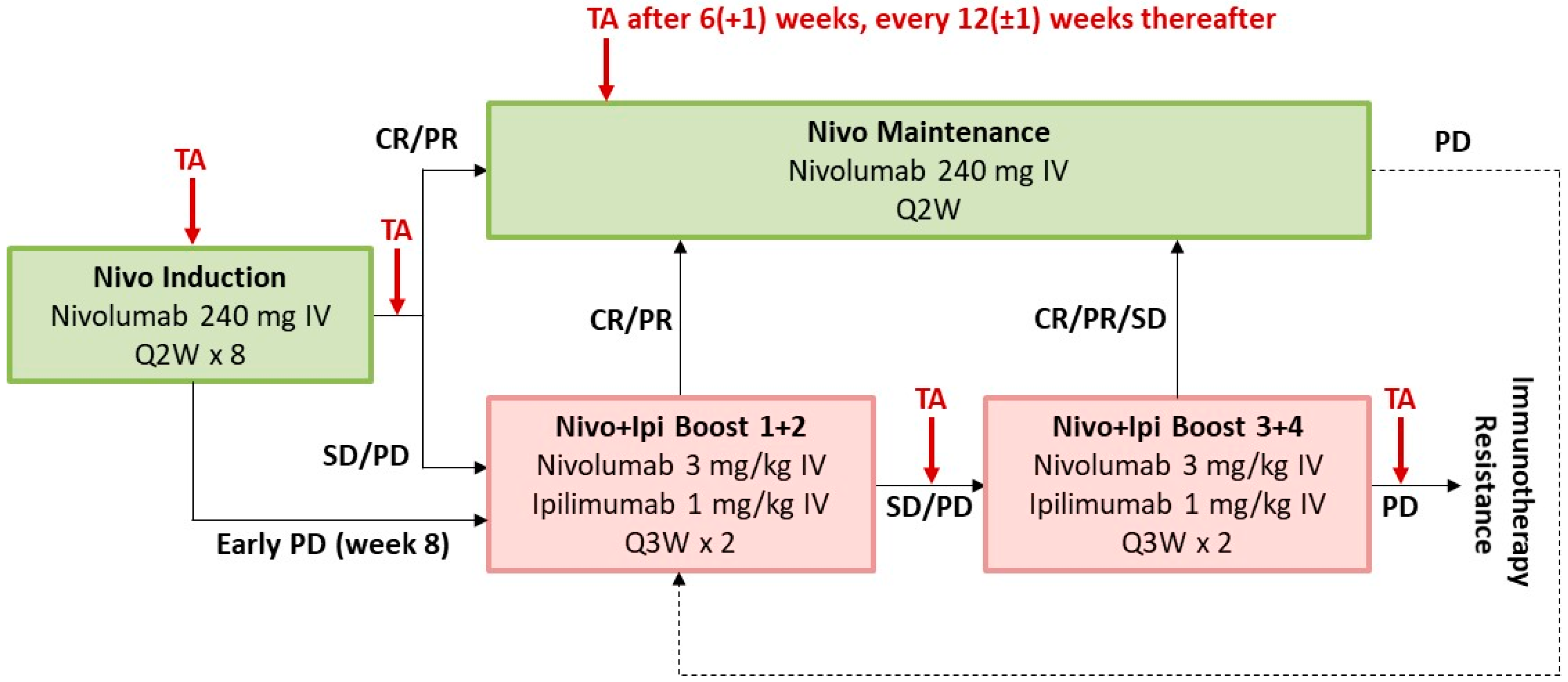 Cancers 16 02287 g001