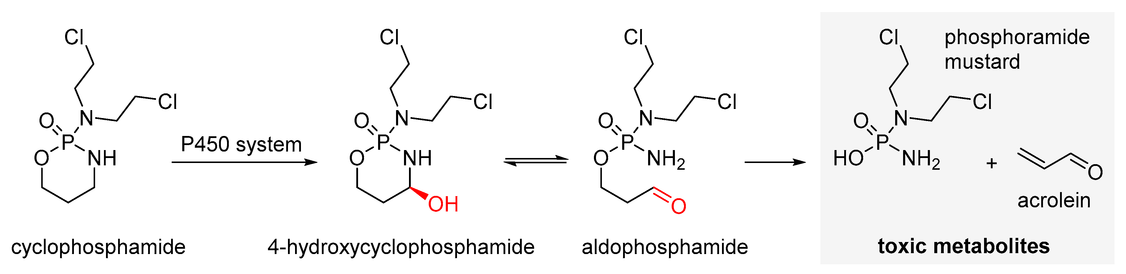 Cancers 16 02288 g003 Cancers 16 02288 g003