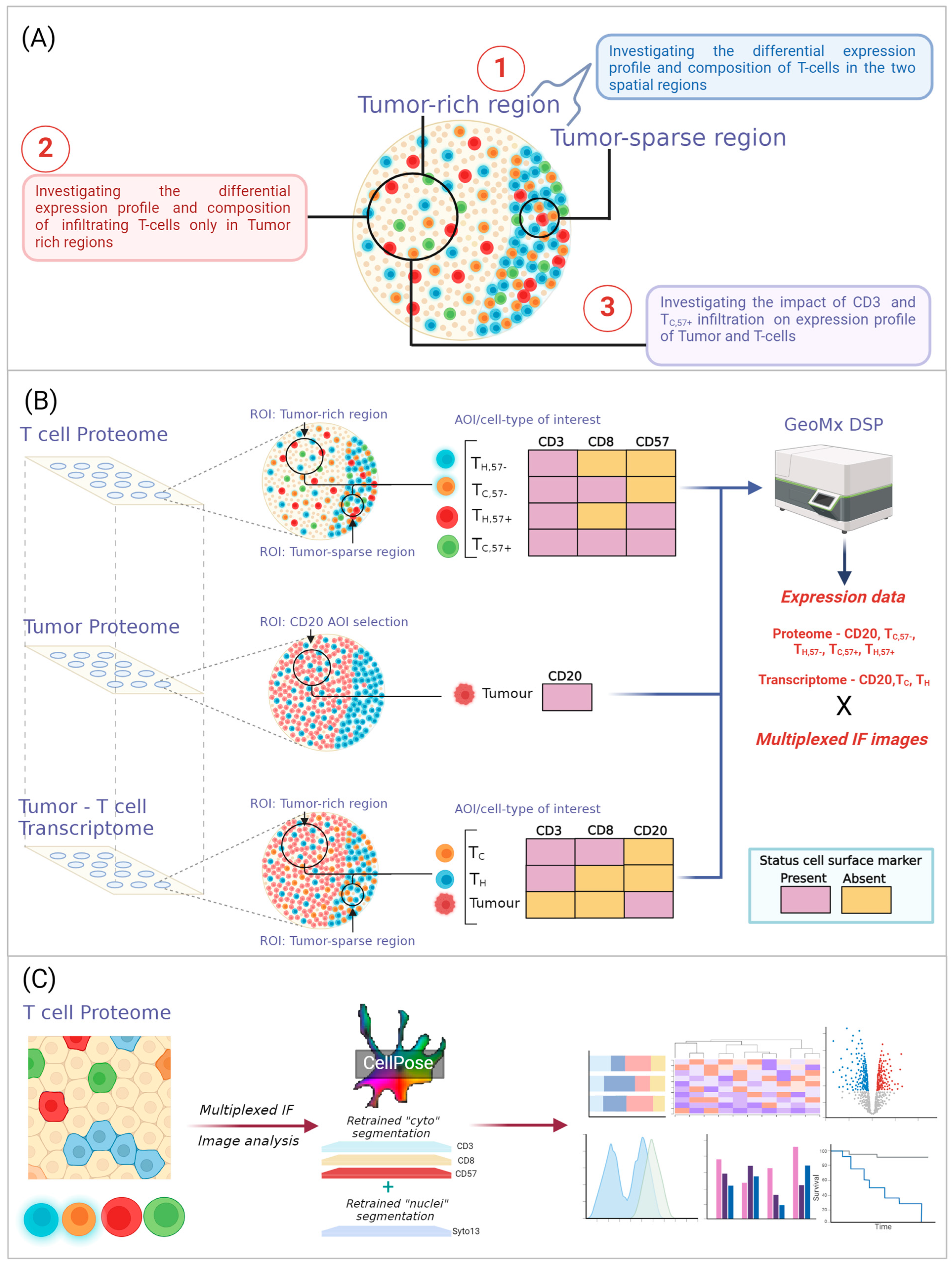 Cancers 16 02289 g001 Cancers 16 02289 g001