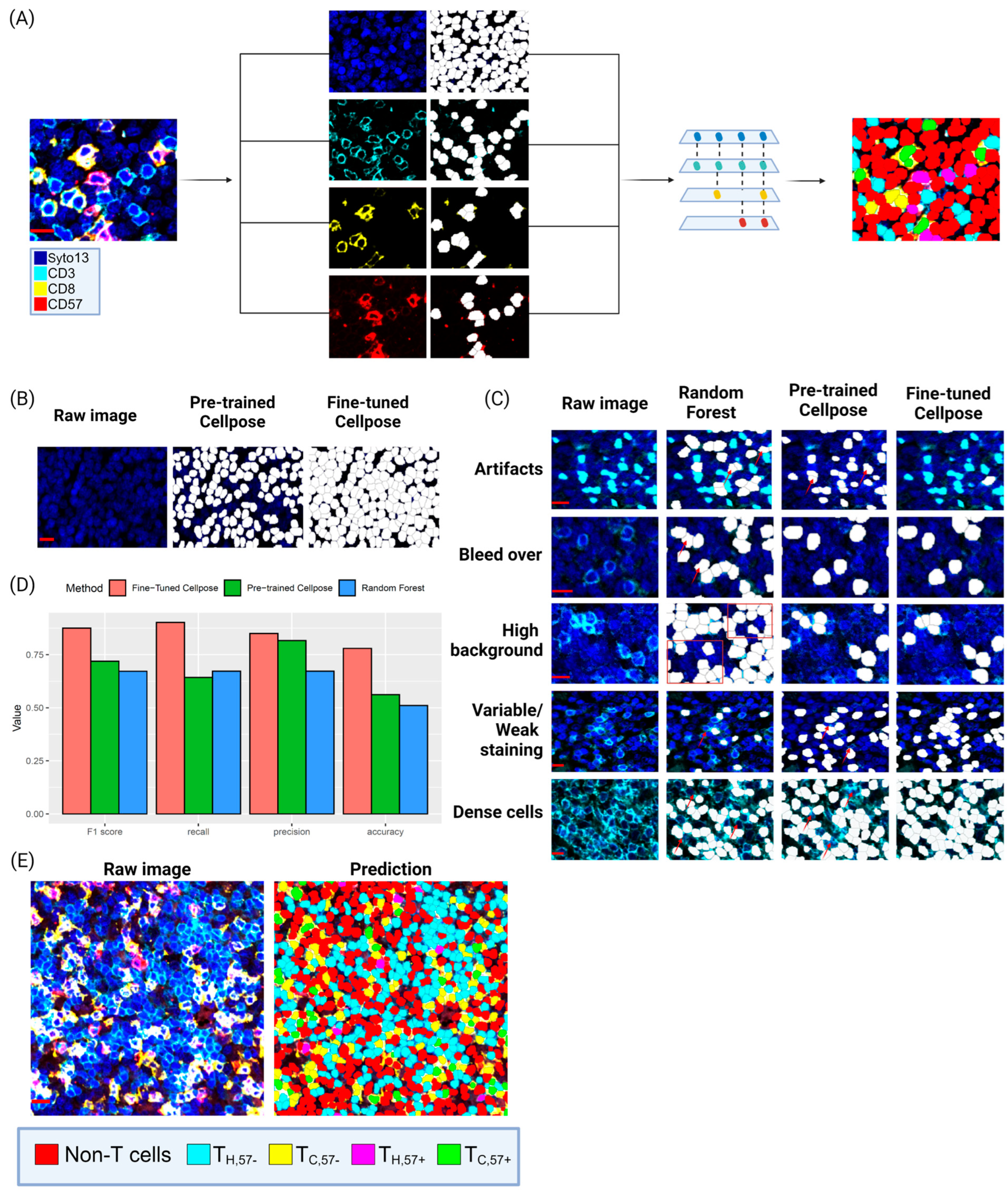 Cancers 16 02289 g002 Cancers 16 02289 g002