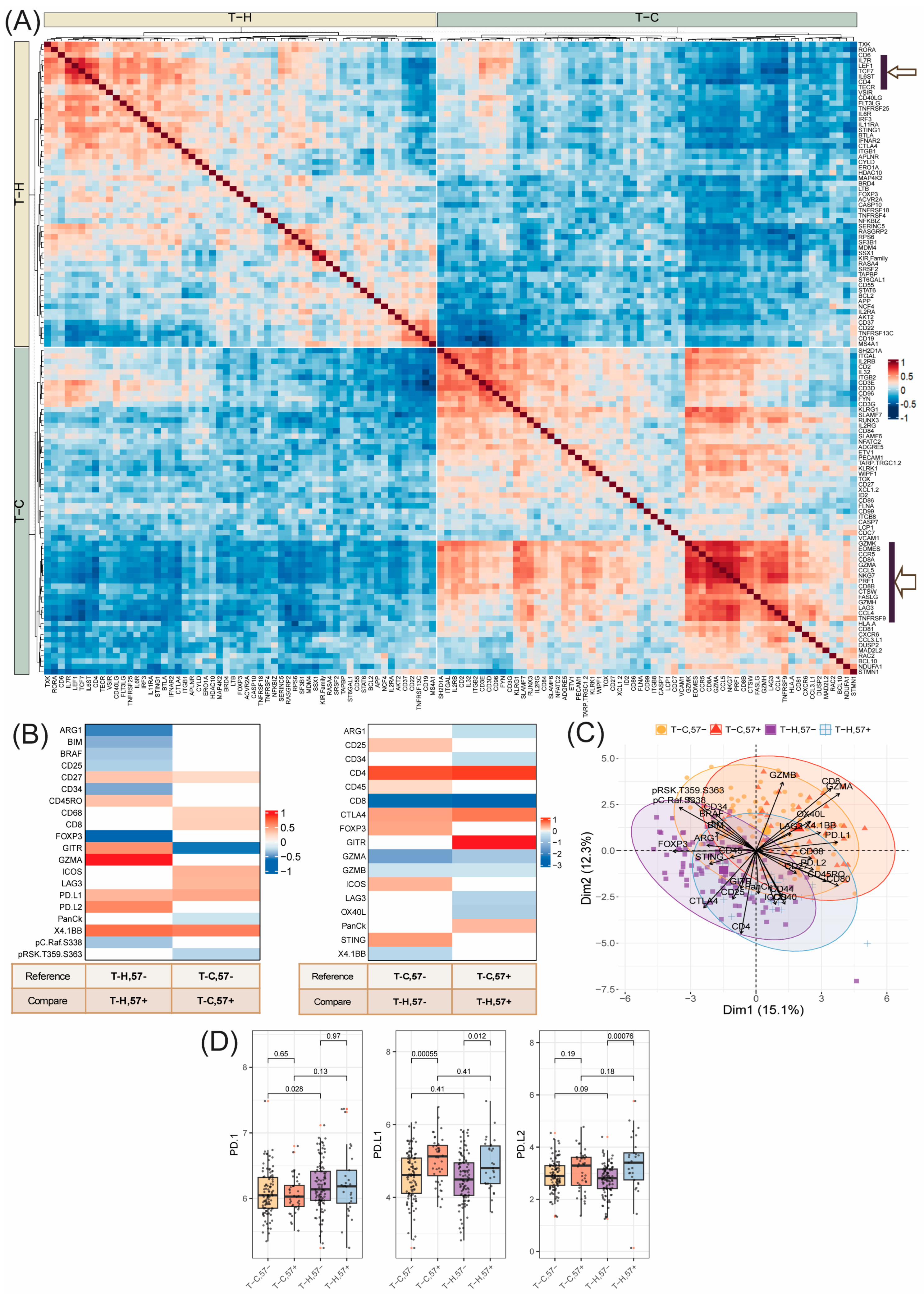 Cancers 16 02289 g006 Cancers 16 02289 g006