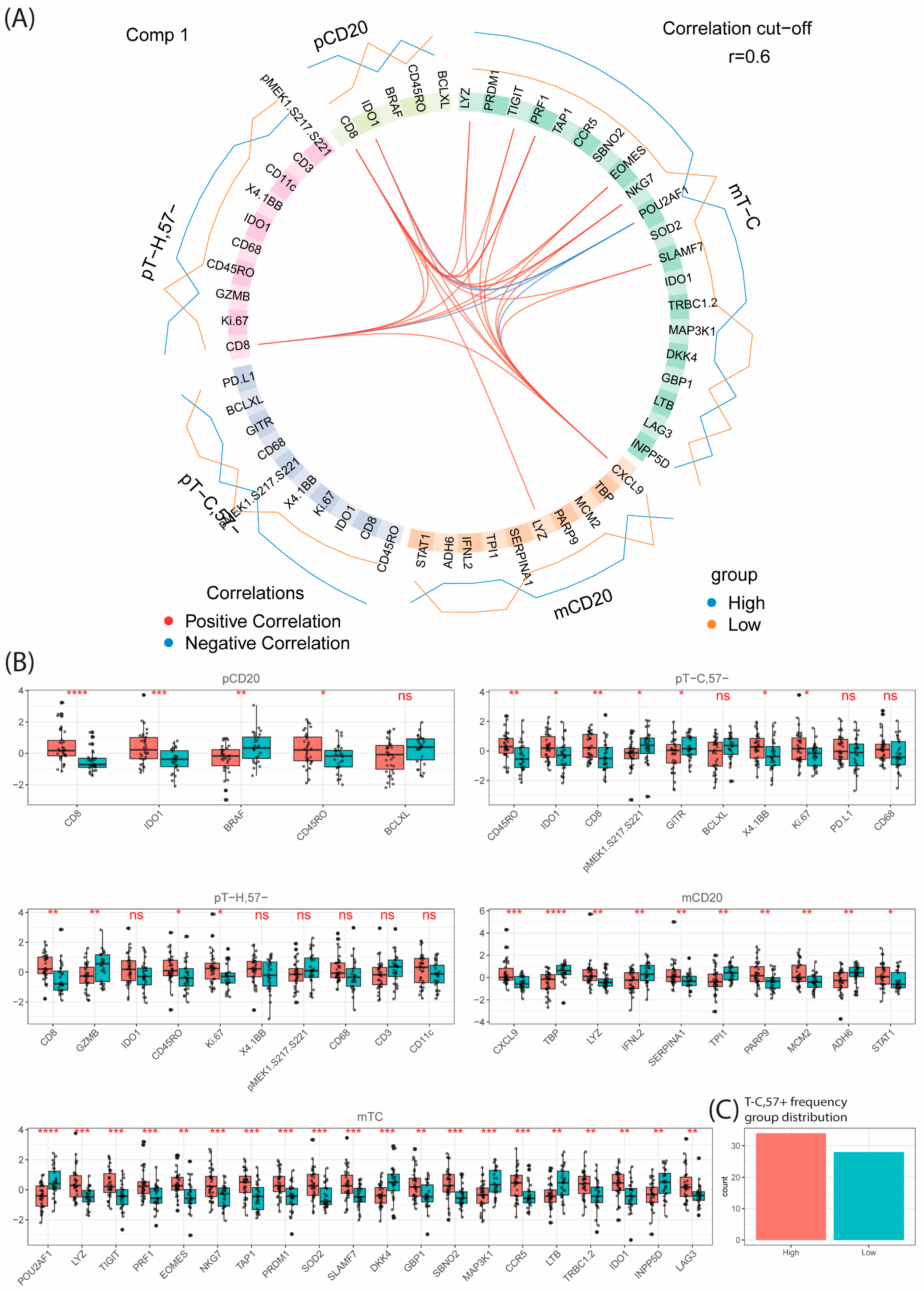 Cancers 16 02289 g008 Cancers 16 02289 g008