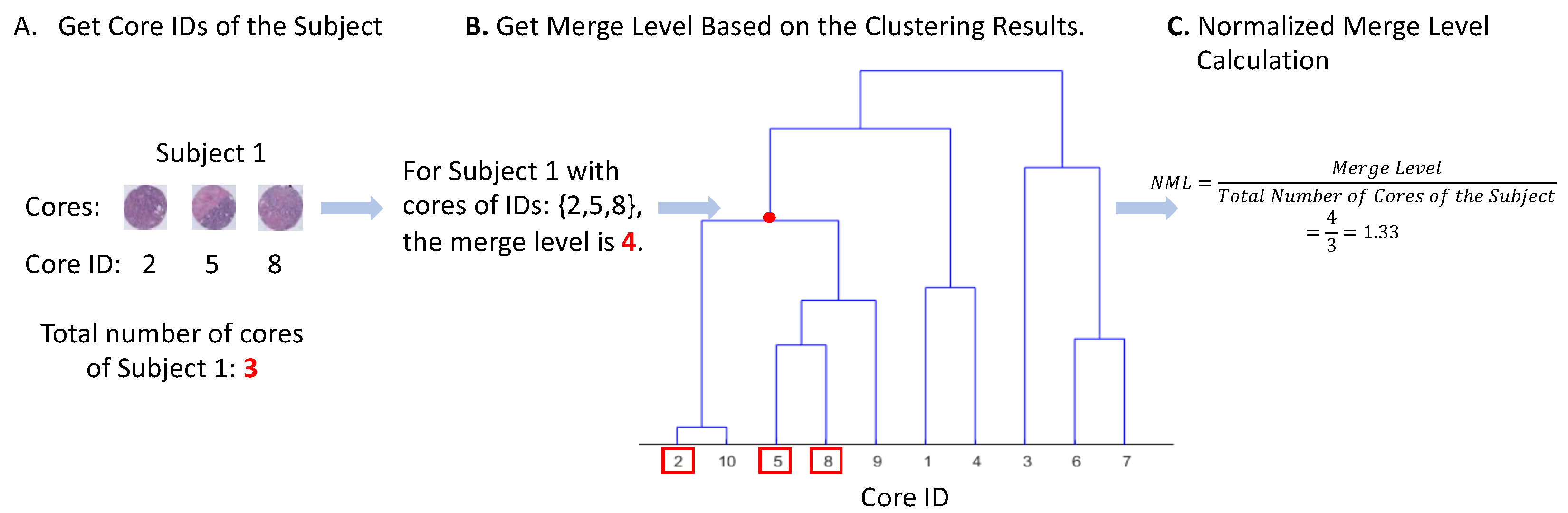 Cancers 16 02294 g002