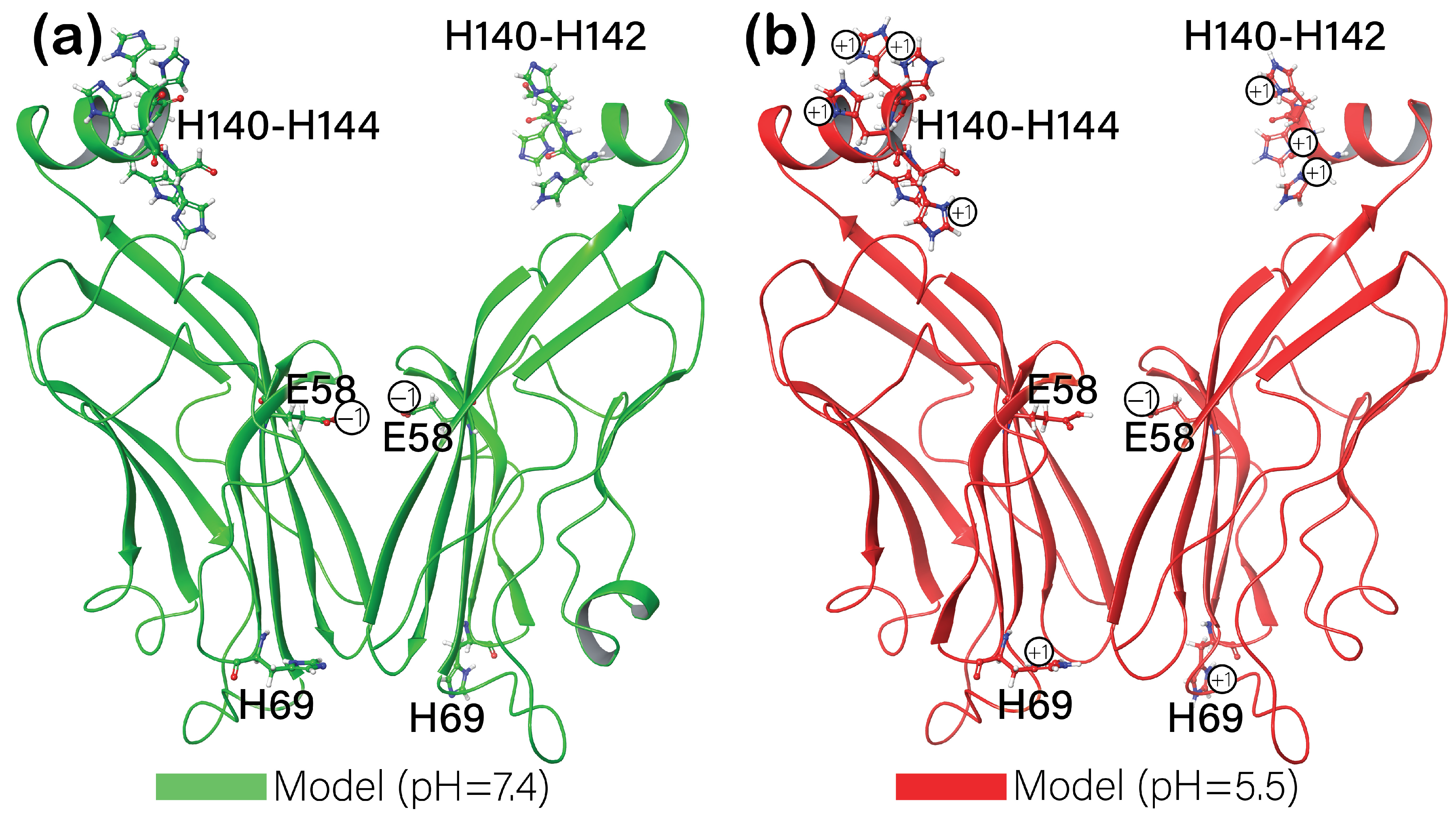 Cancers 16 02295 g004