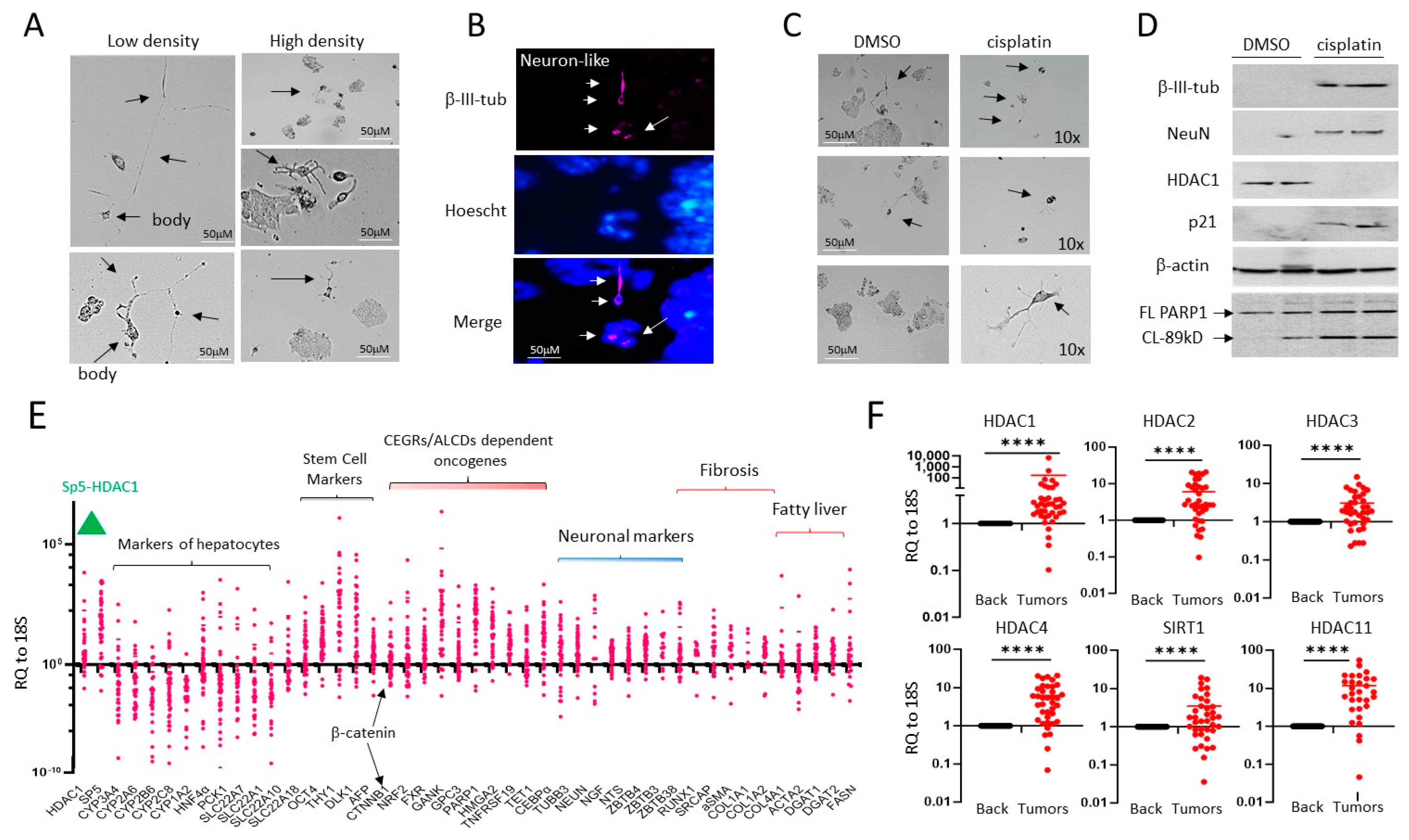 Cancers 16 02300 g001