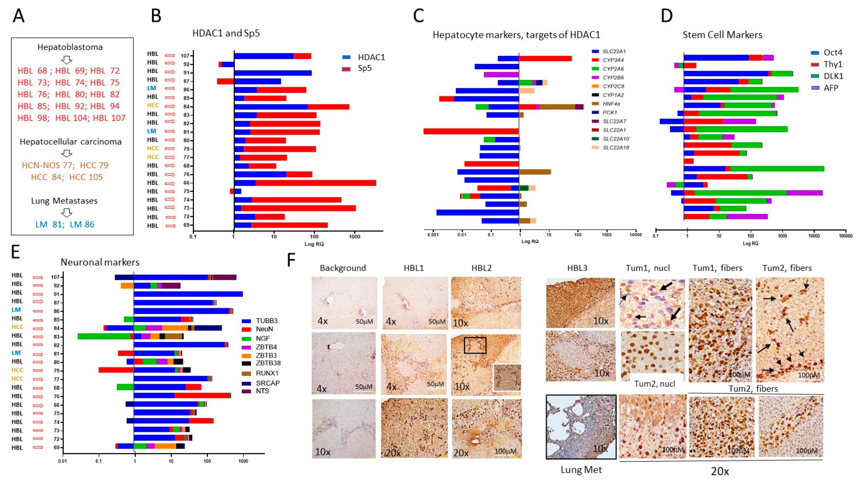 Cancers 16 02300 g002