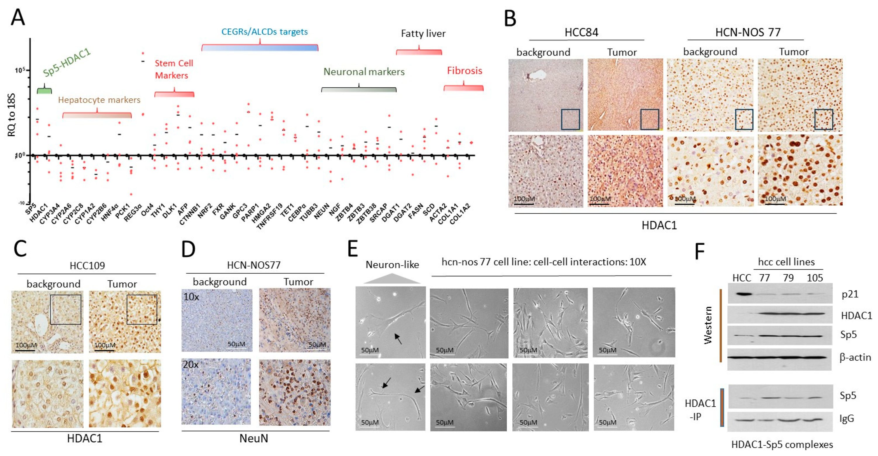 Cancers 16 02300 g006