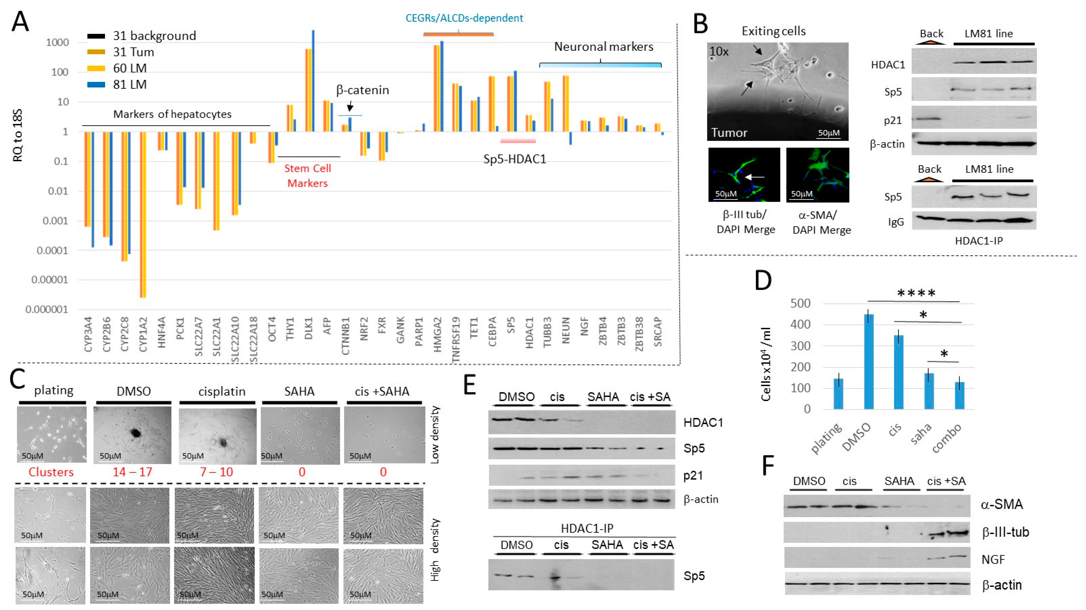 Cancers 16 02300 g008